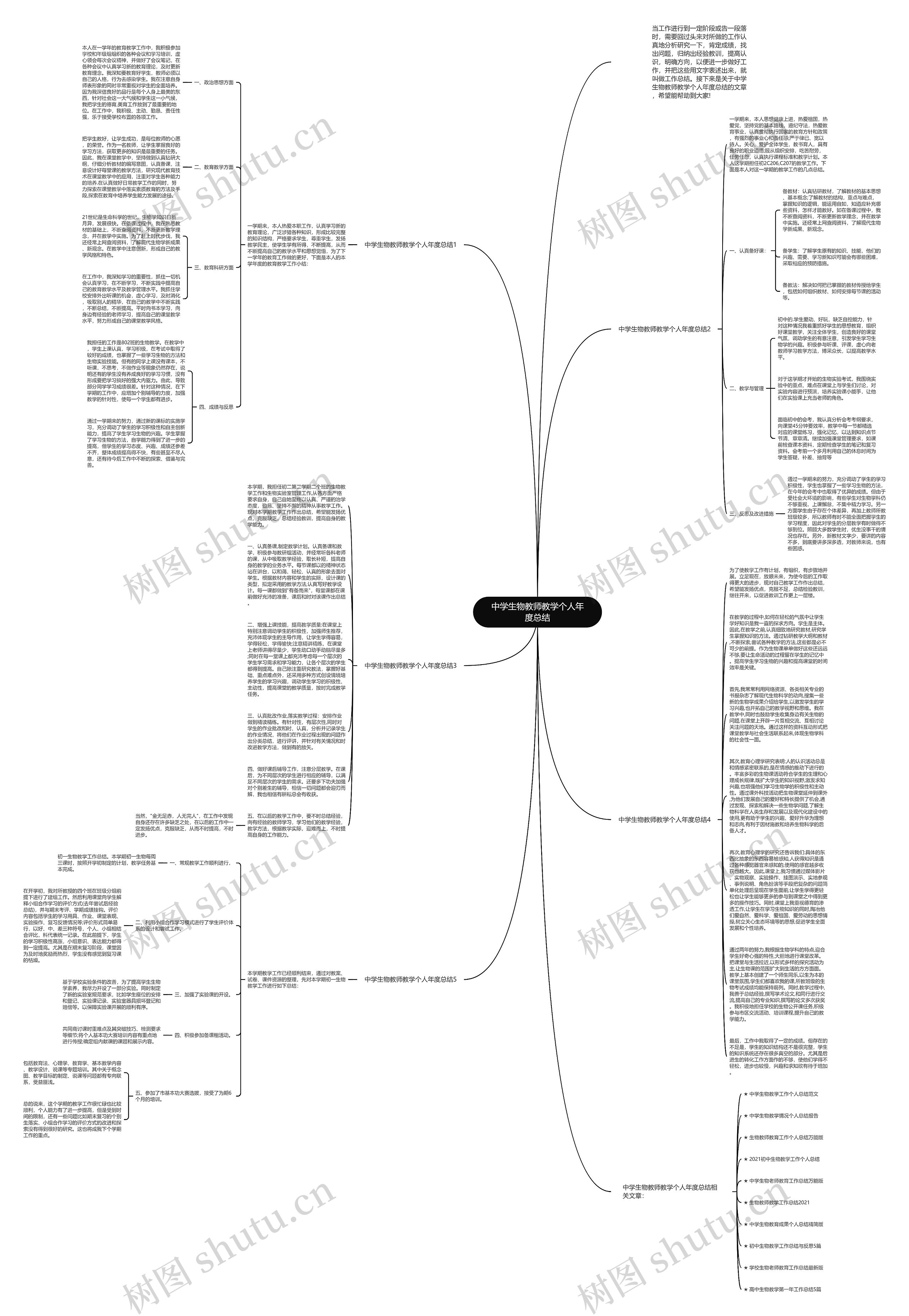 中学生物教师教学个人年度总结思维导图