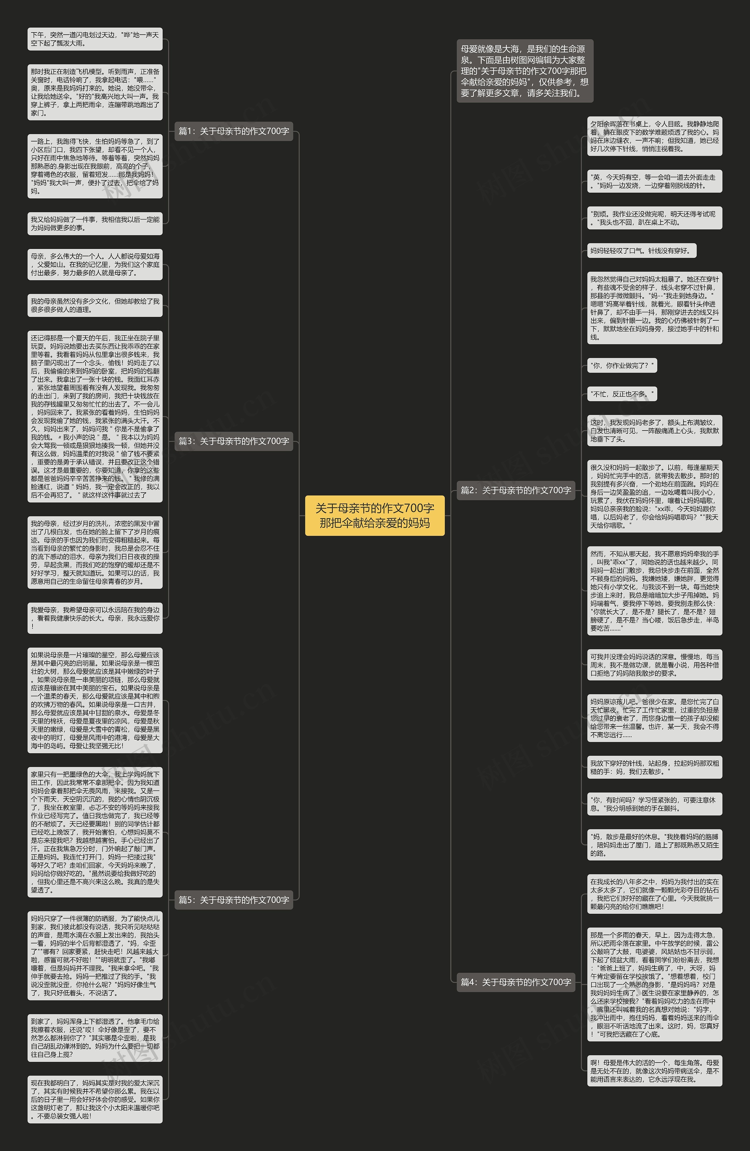 关于母亲节的作文700字那把伞献给亲爱的妈妈