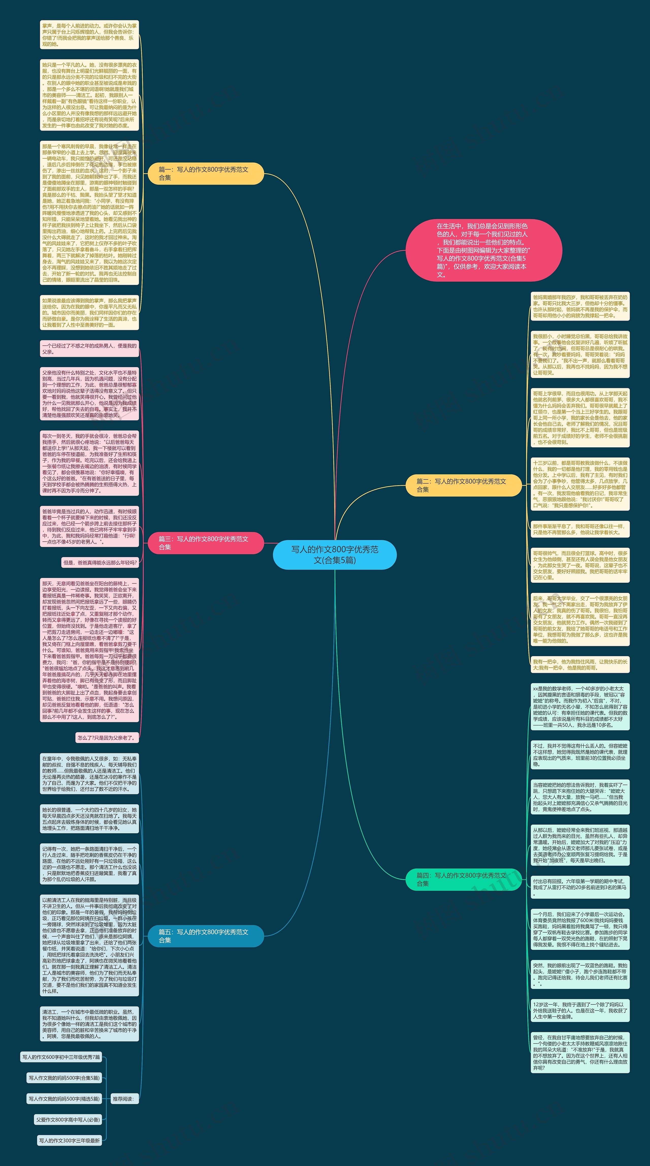 写人的作文800字优秀范文(合集5篇)思维导图