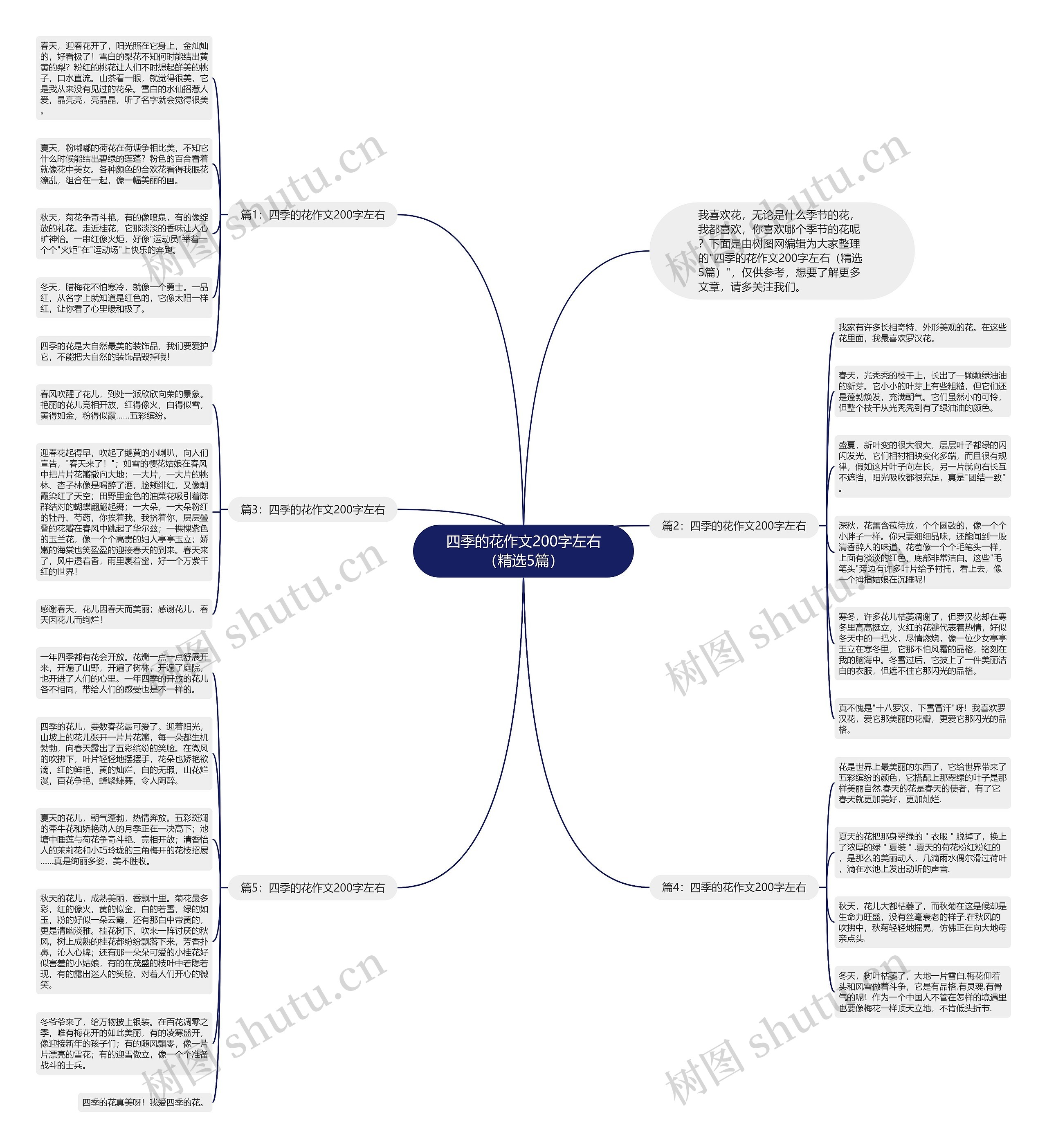 四季的花作文200字左右（精选5篇）思维导图
