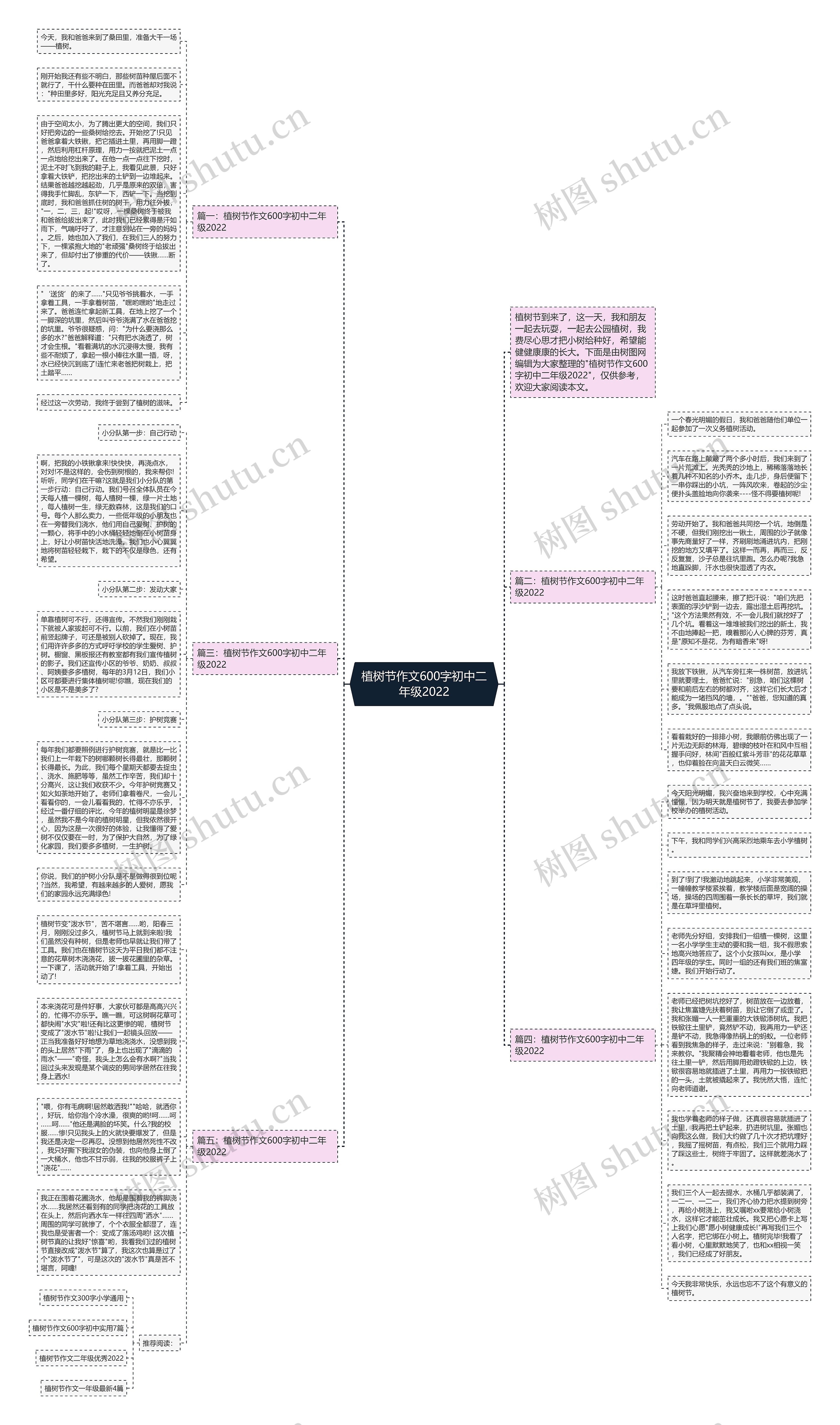 植树节作文600字初中二年级2022思维导图