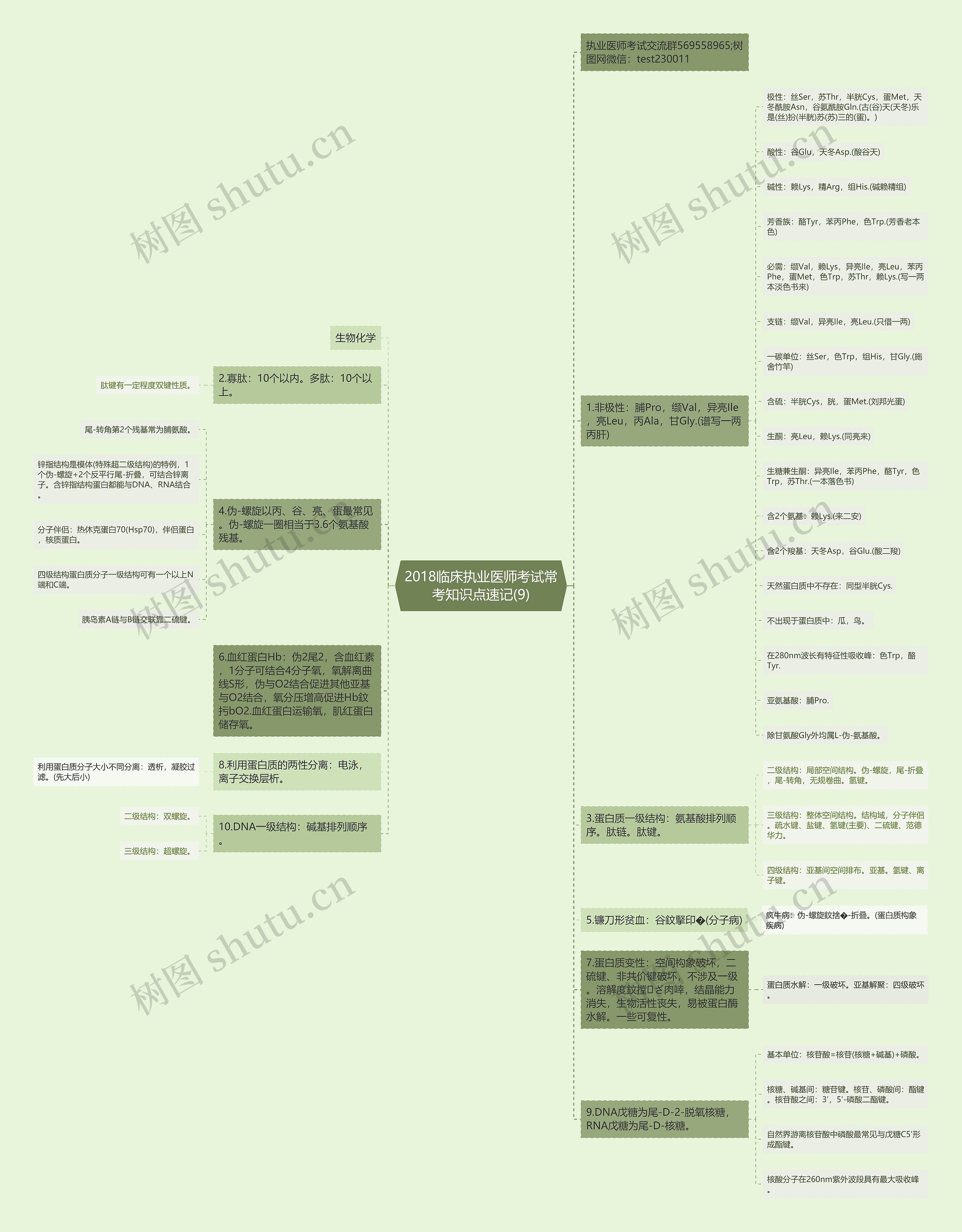 2018临床执业医师考试常考知识点速记(9)思维导图