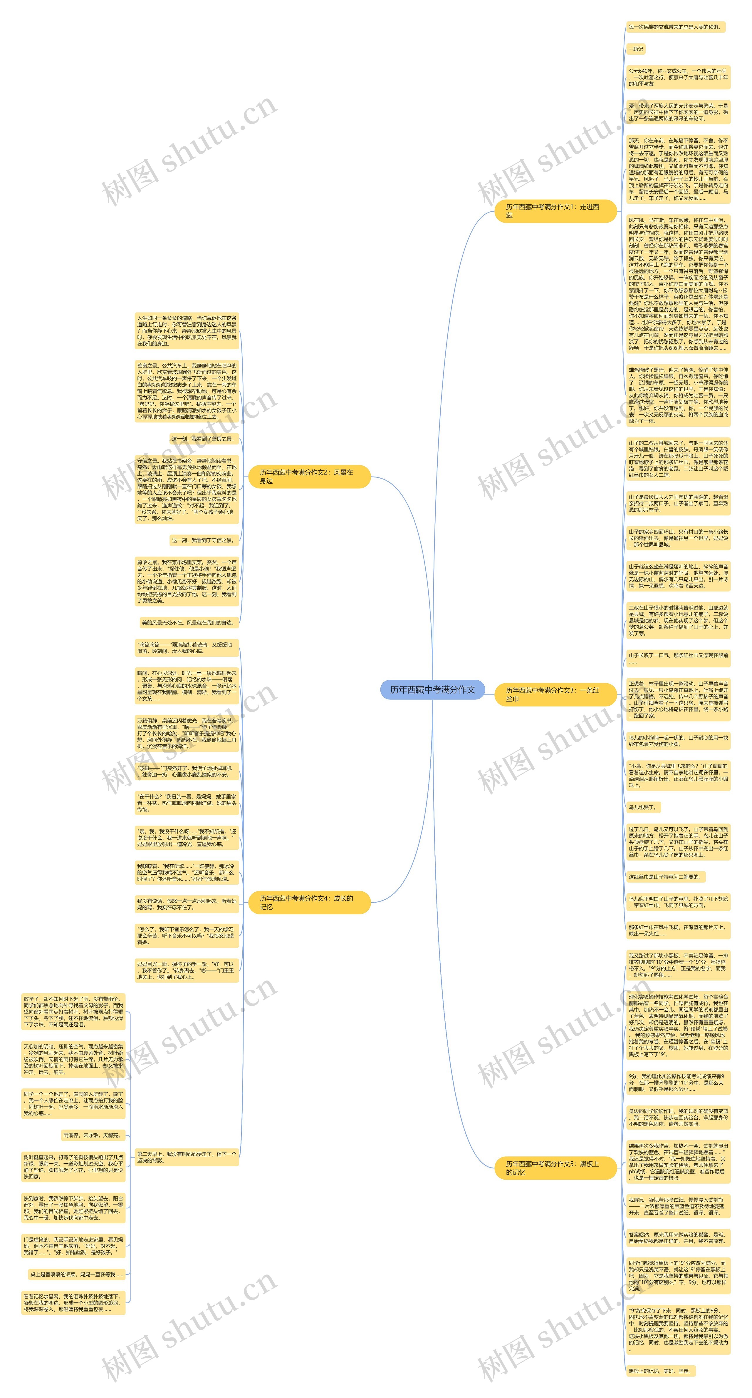 历年西藏中考满分作文思维导图