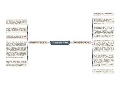 高中生寒假周记600字