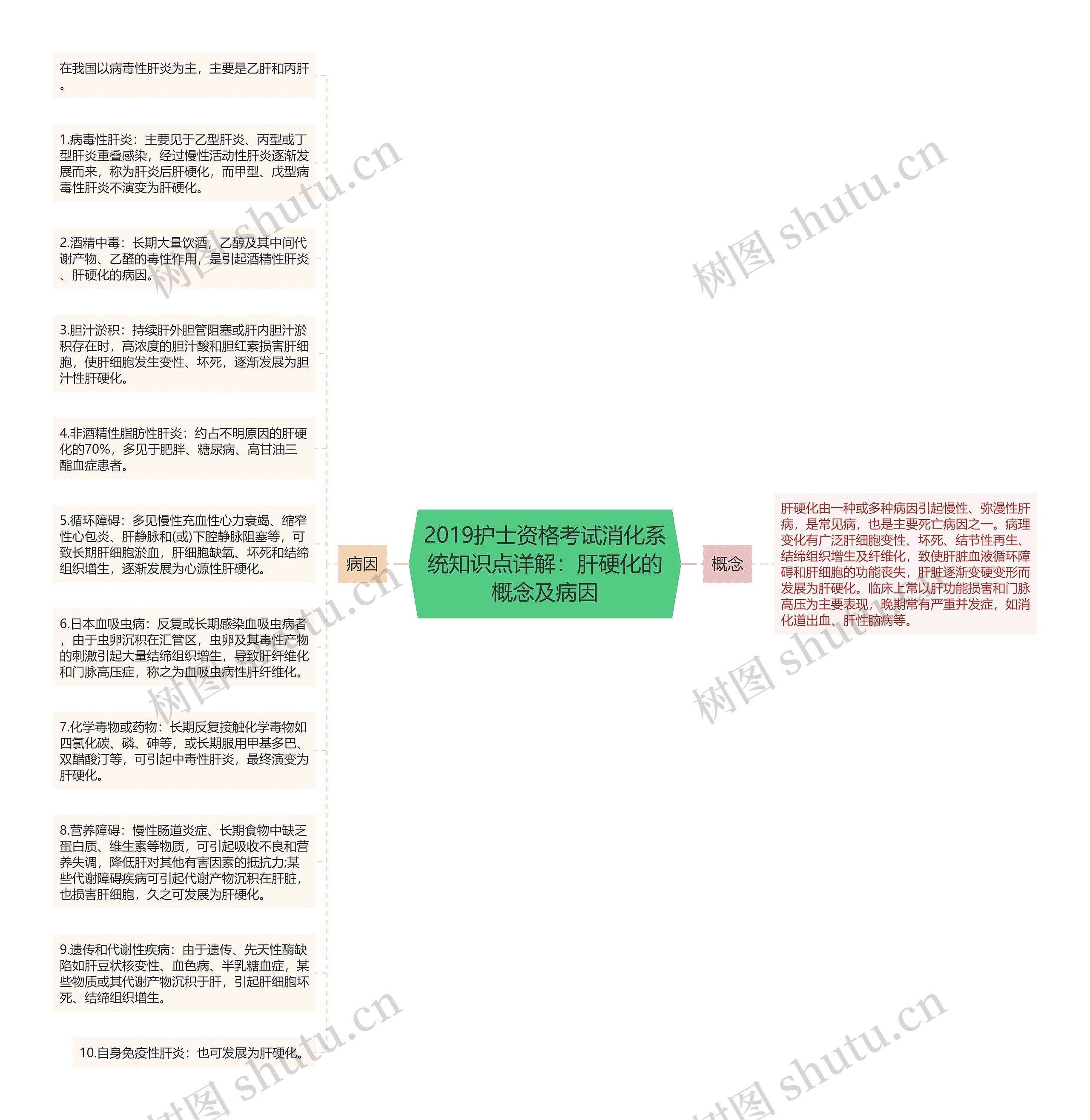 2019护士资格考试消化系统知识点详解：肝硬化的概念及病因