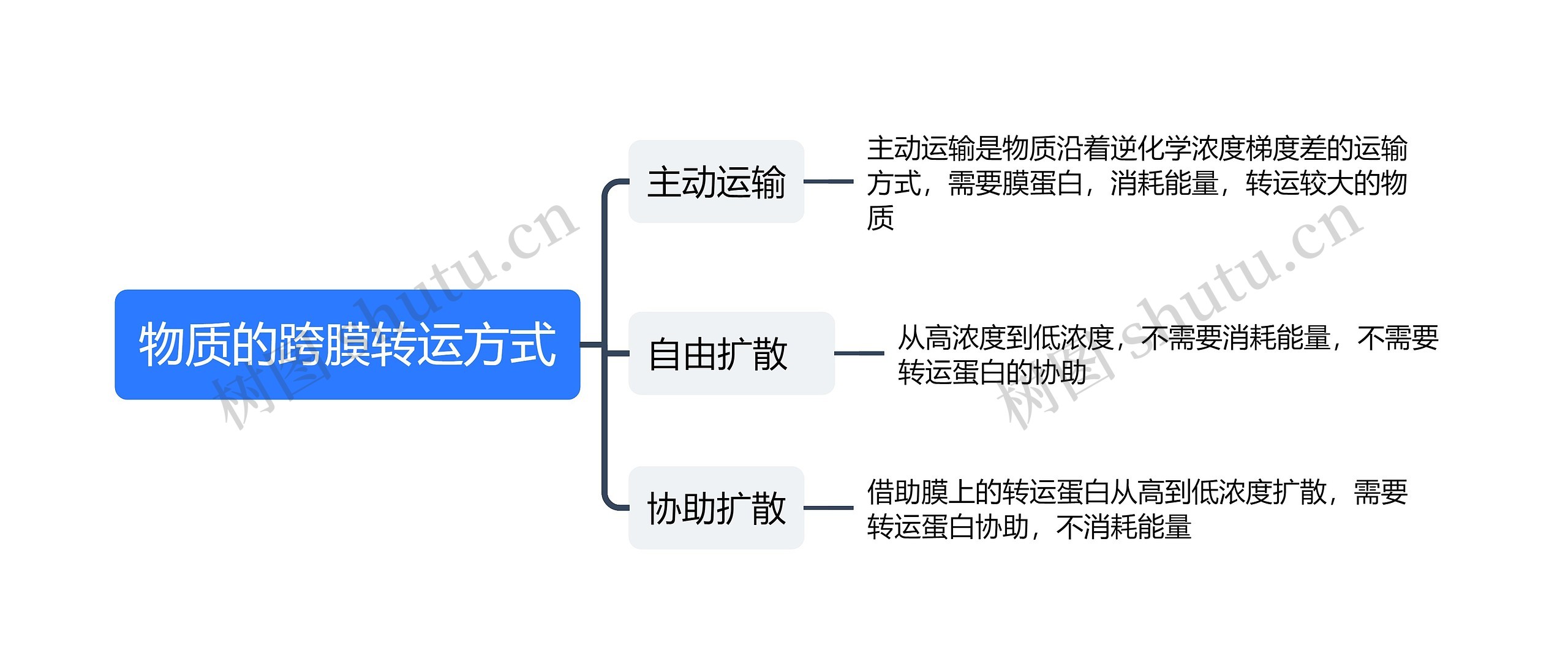 物质的跨膜转运方式思维导图