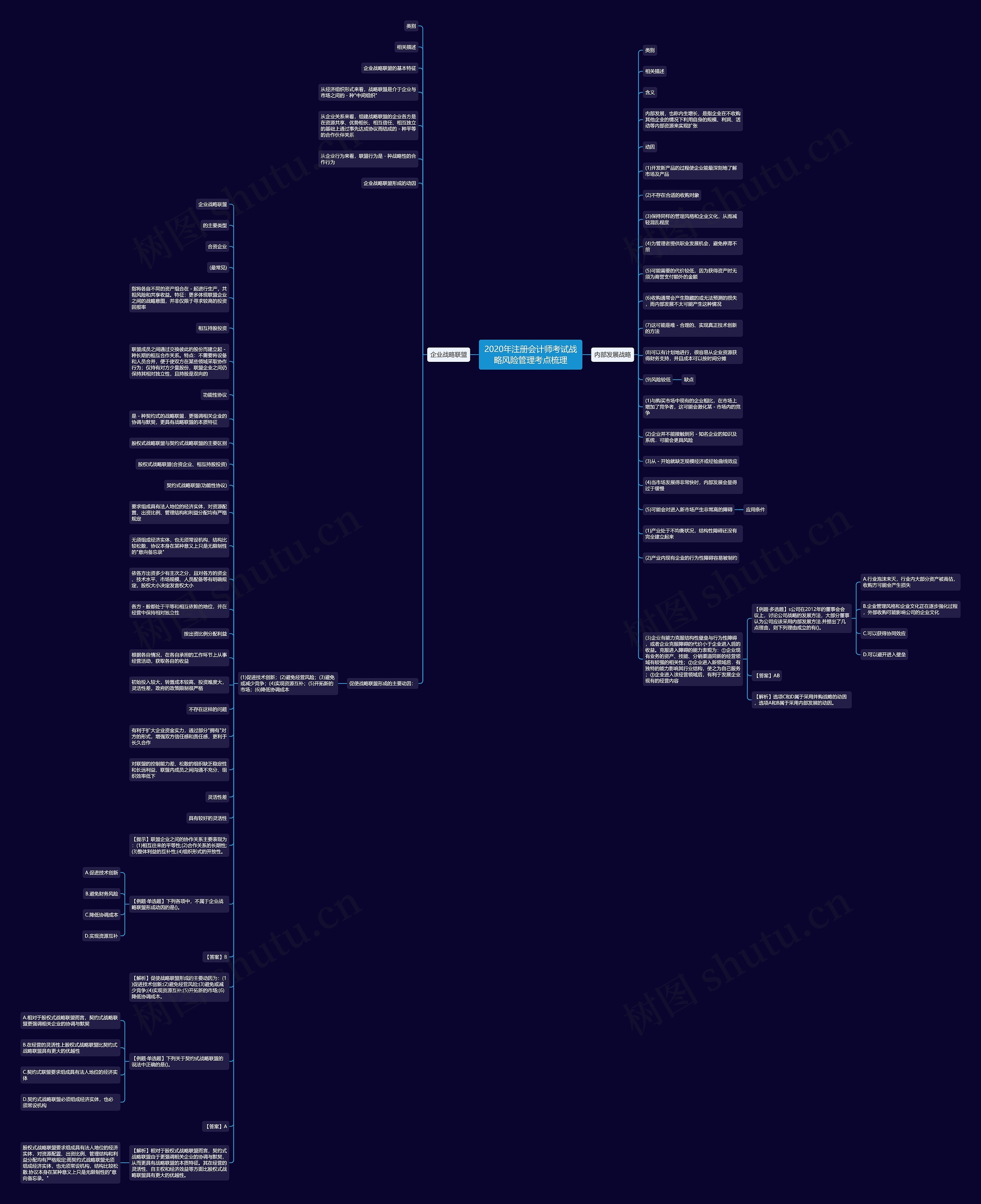 2020年注册会计师考试战略风险管理考点梳理