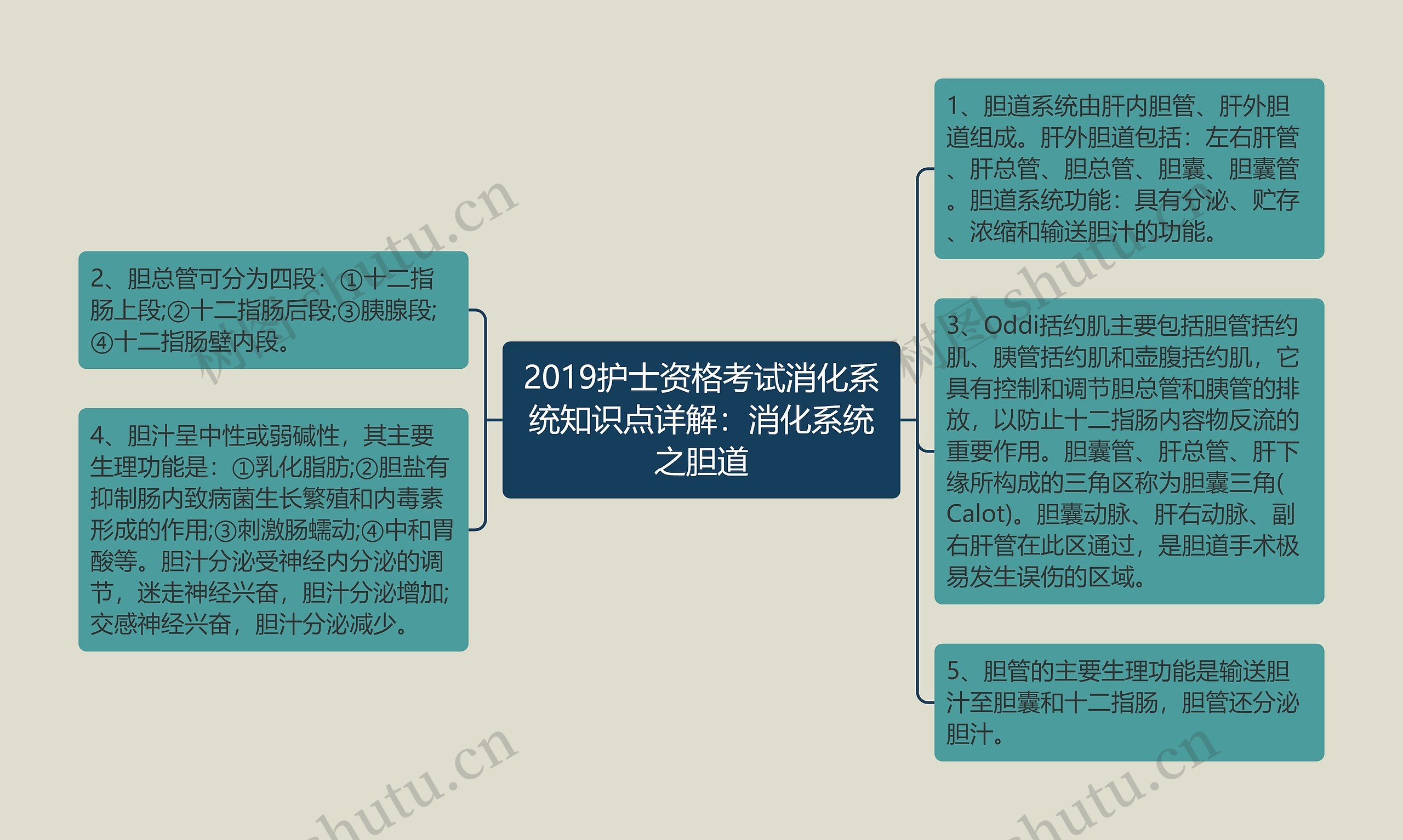 2019护士资格考试消化系统知识点详解：消化系统之胆道思维导图