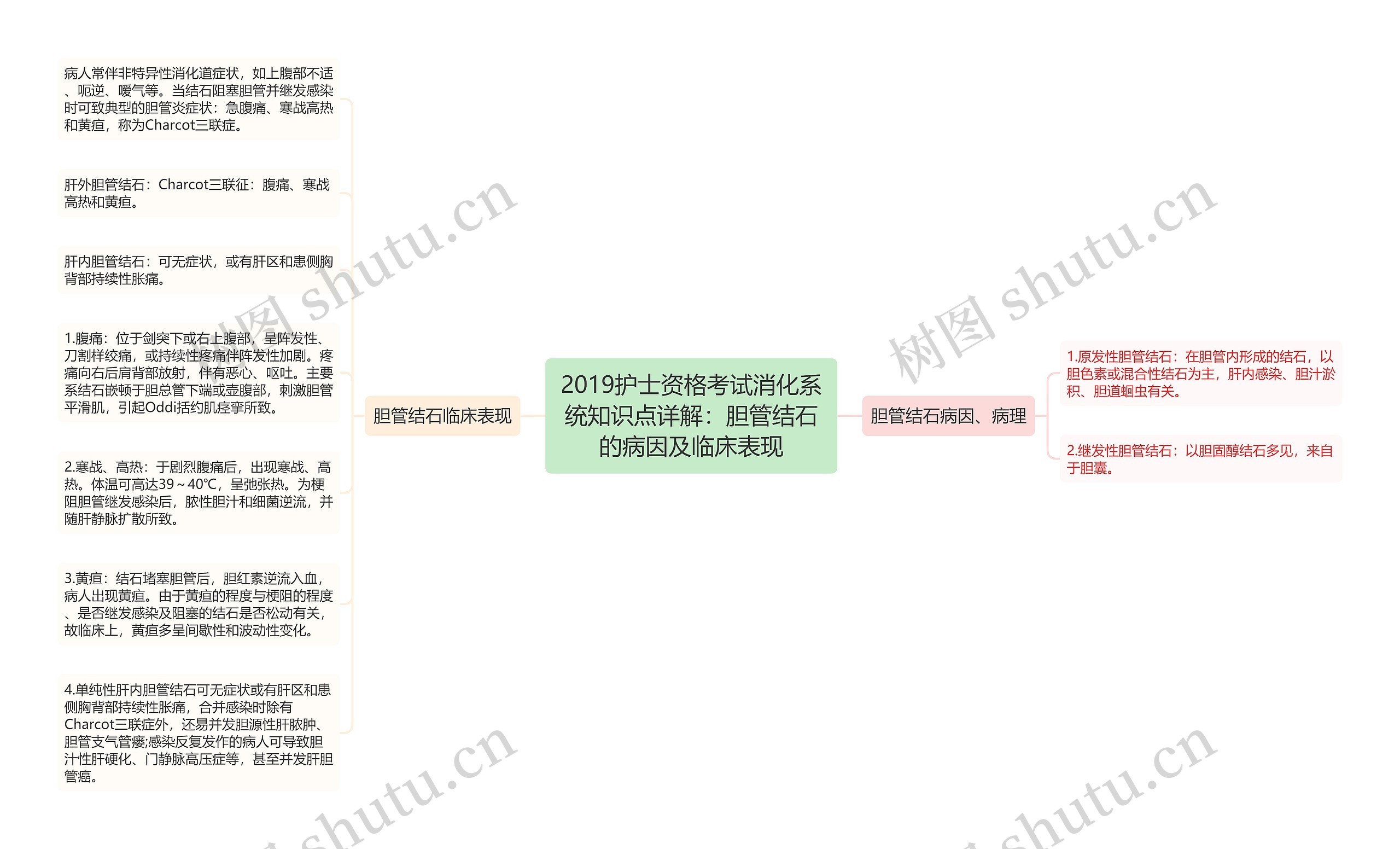 2019护士资格考试消化系统知识点详解：胆管结石的病因及临床表现