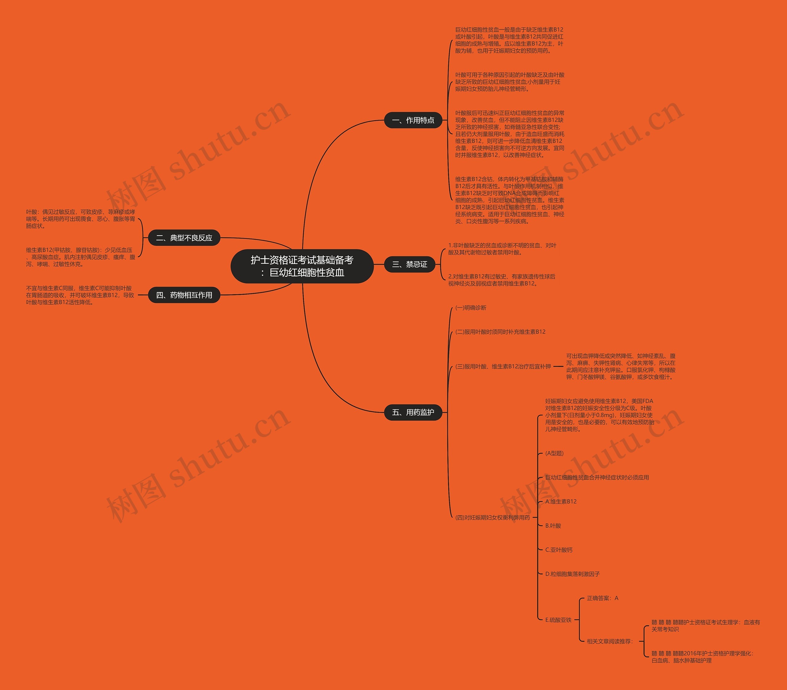 护士资格证考试基础备考：巨幼红细胞性贫血思维导图