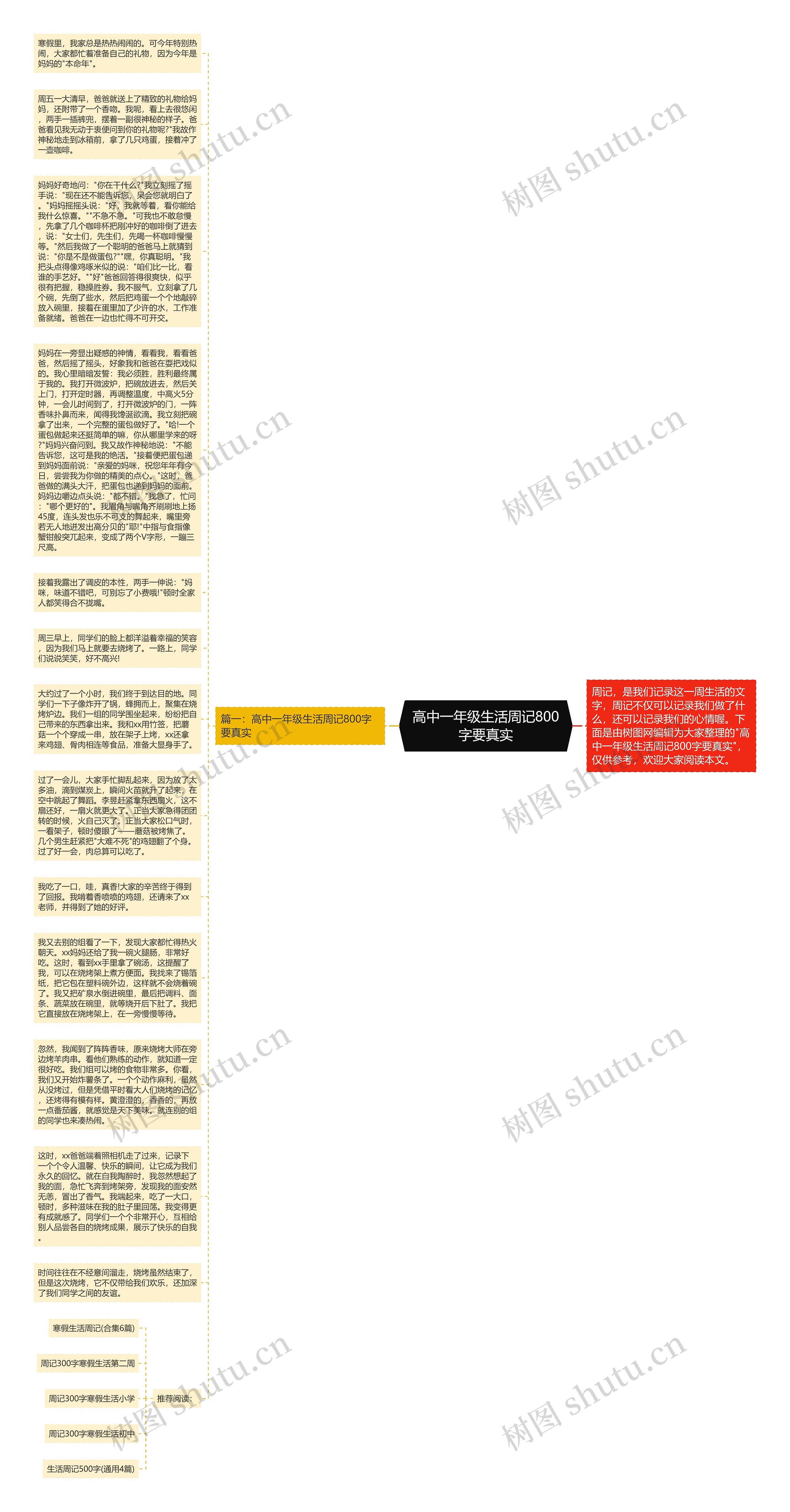 高中一年级生活周记800字要真实思维导图