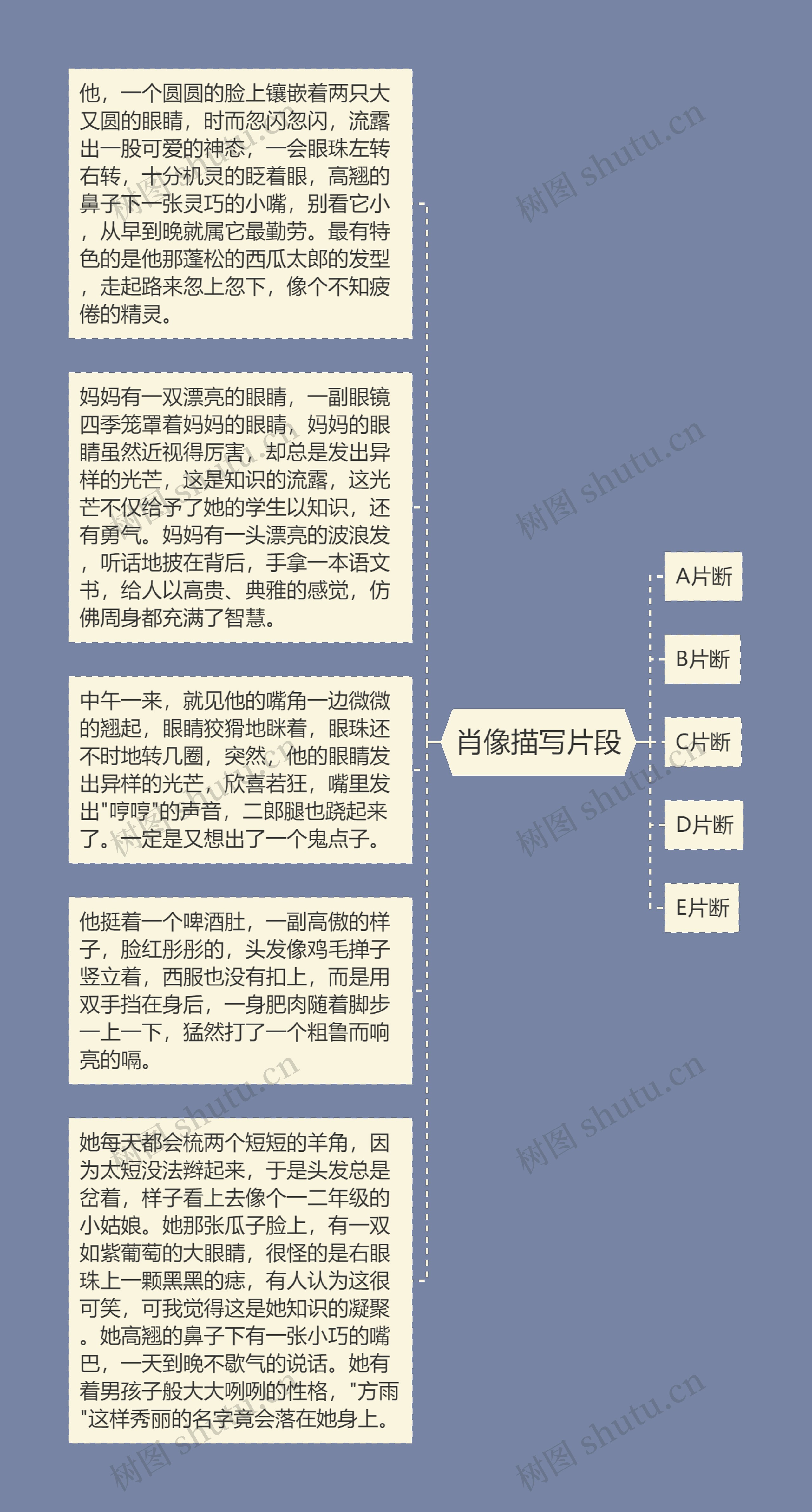 肖像描写片段