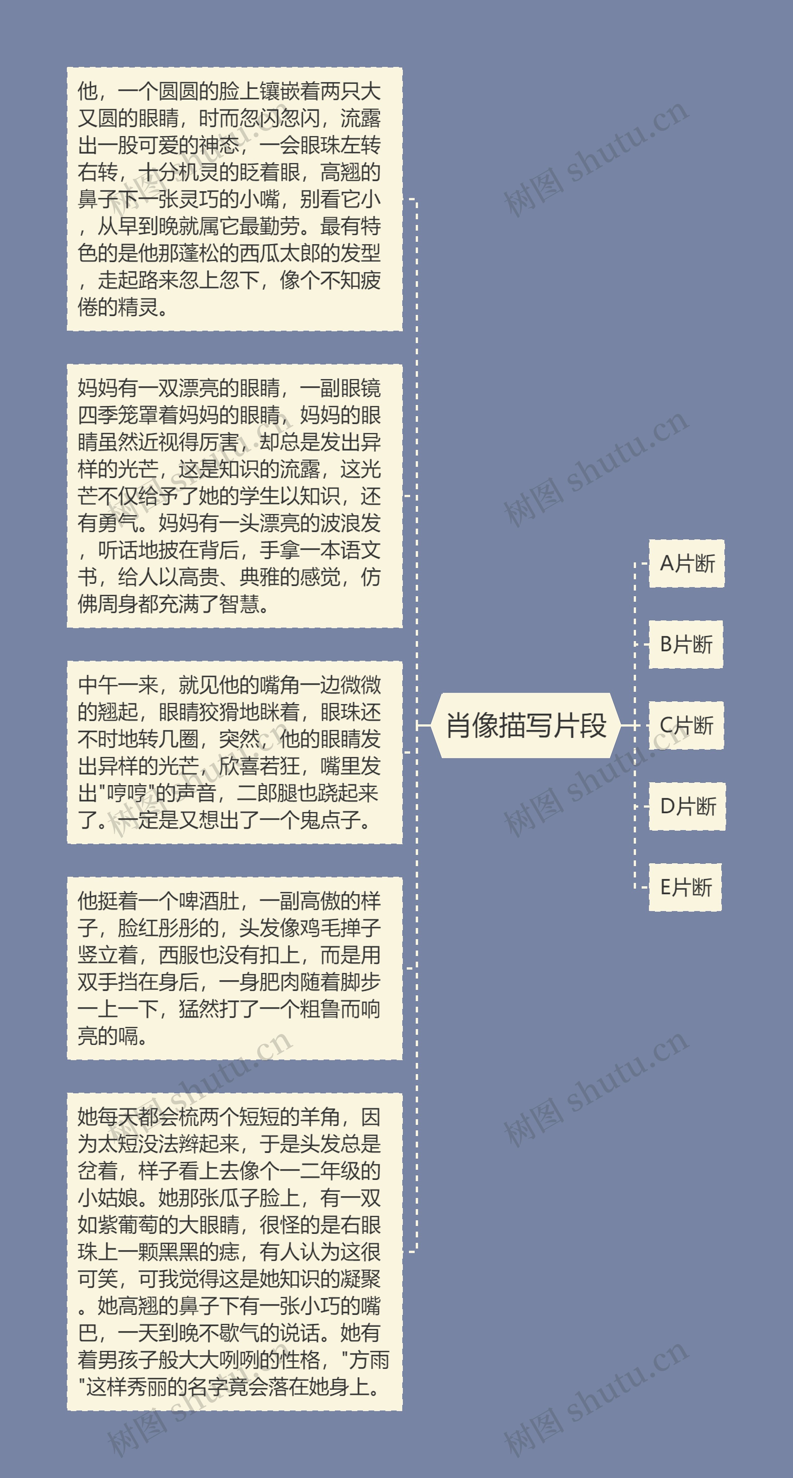 肖像描写片段思维导图