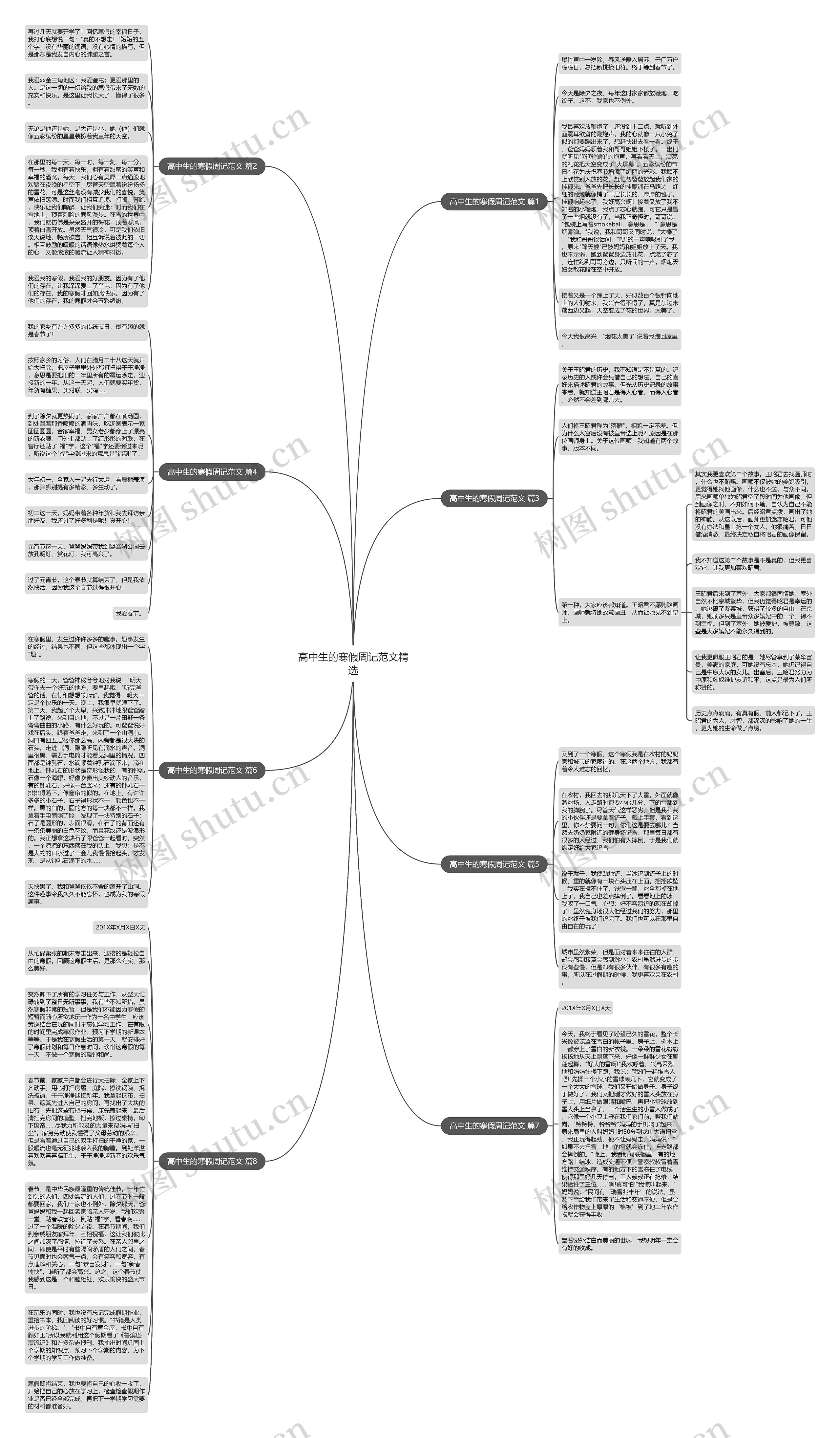 高中生的寒假周记范文精选思维导图