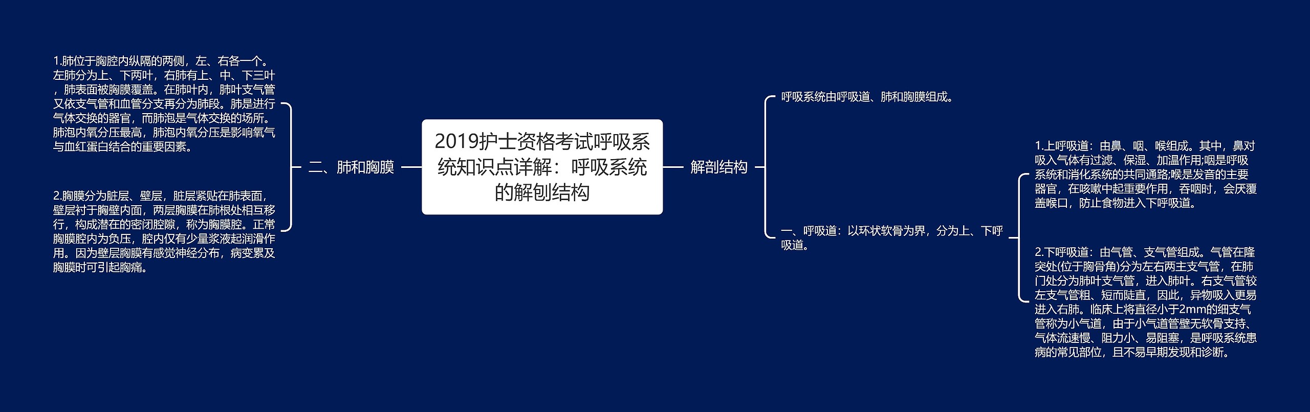 2019护士资格考试呼吸系统知识点详解：呼吸系统的解刨结构思维导图