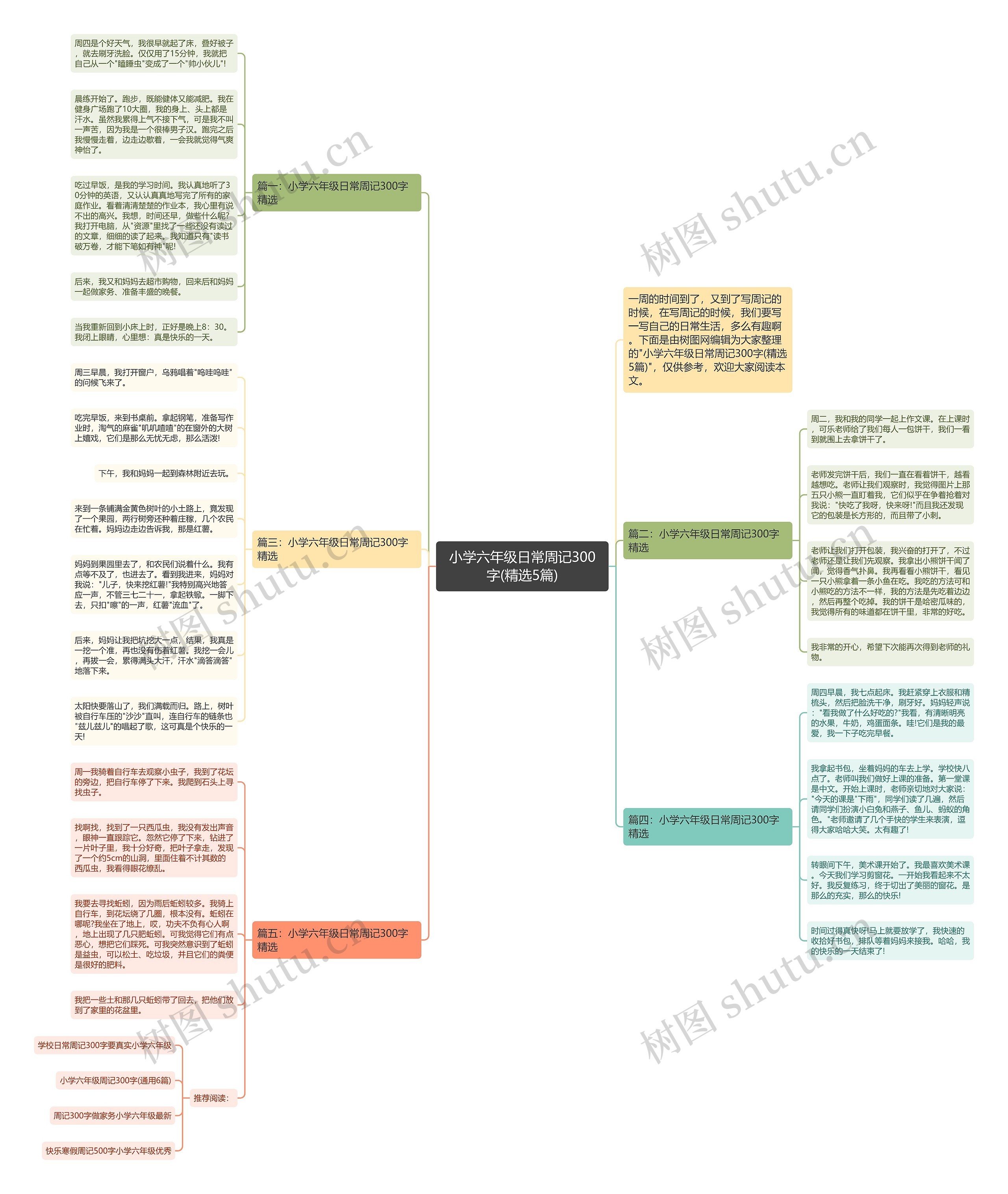 小学六年级日常周记300字(精选5篇)思维导图