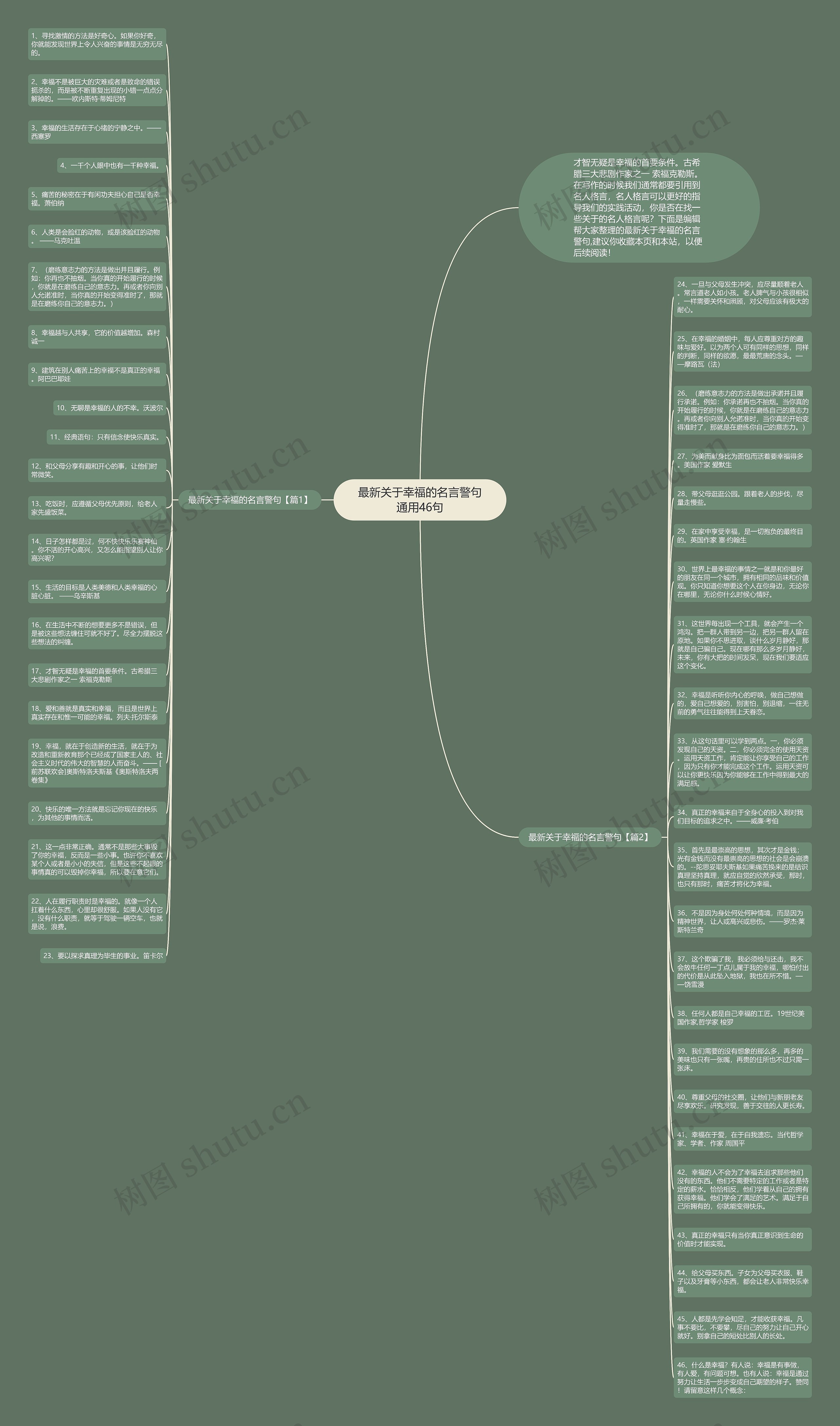 最新关于幸福的名言警句通用46句思维导图