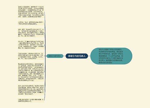 拿破仑与皮毛商人思维导图