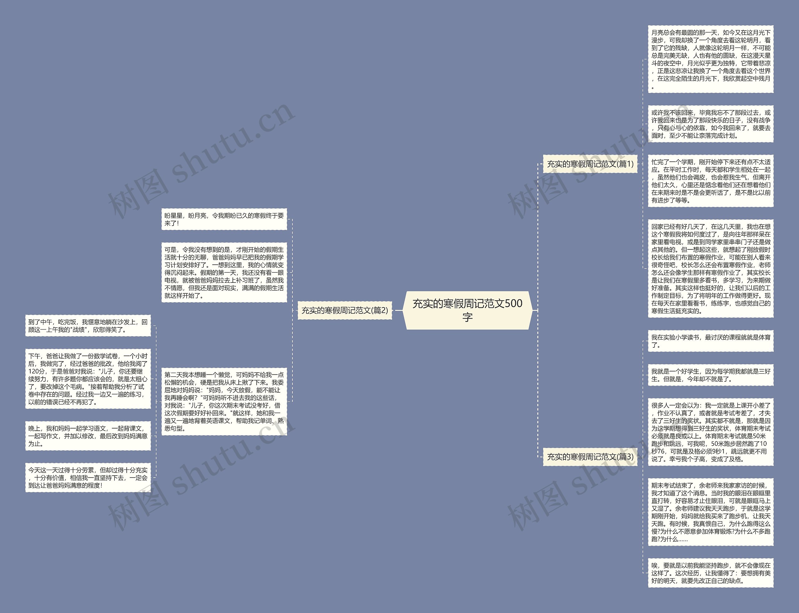 充实的寒假周记范文500字思维导图