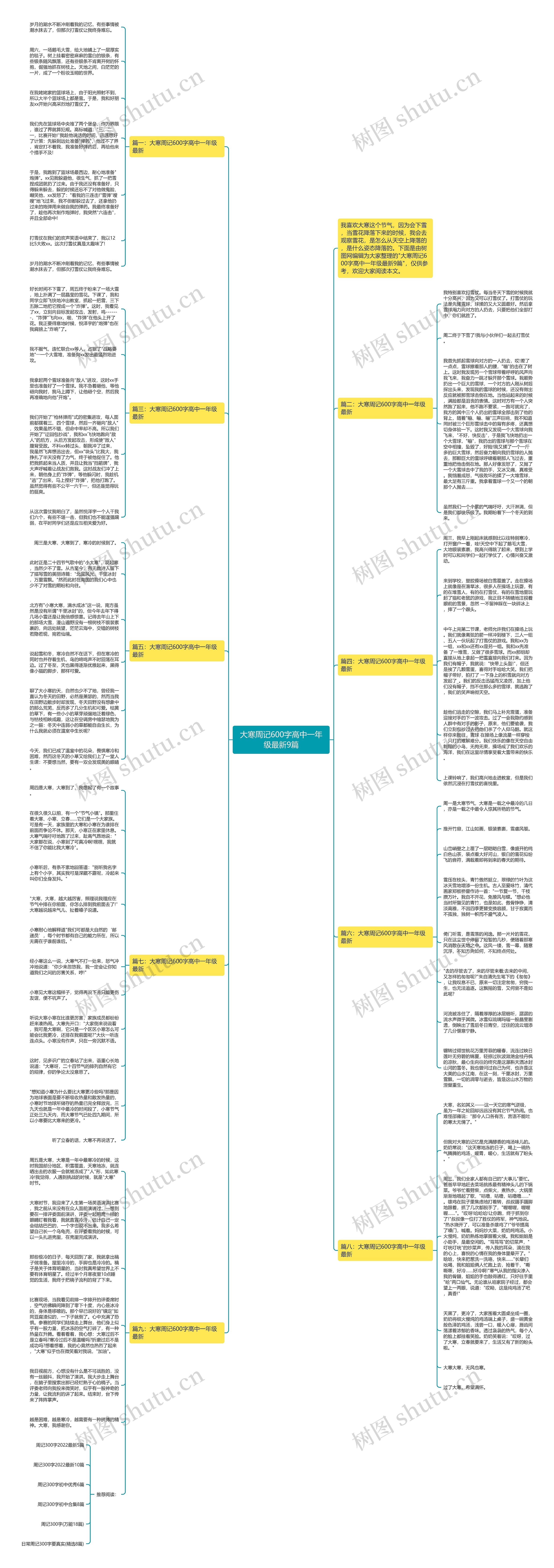 大寒周记600字高中一年级最新9篇思维导图