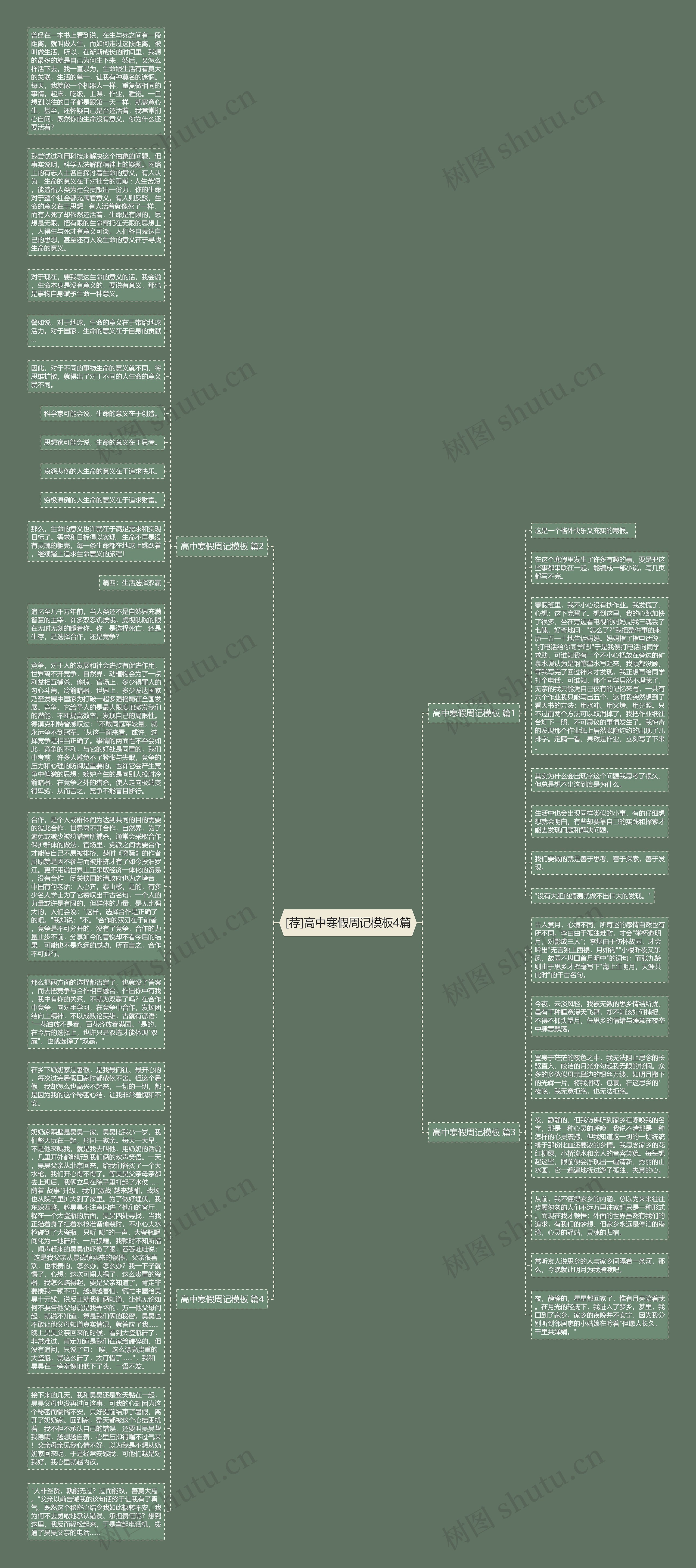 [荐]高中寒假周记4篇思维导图