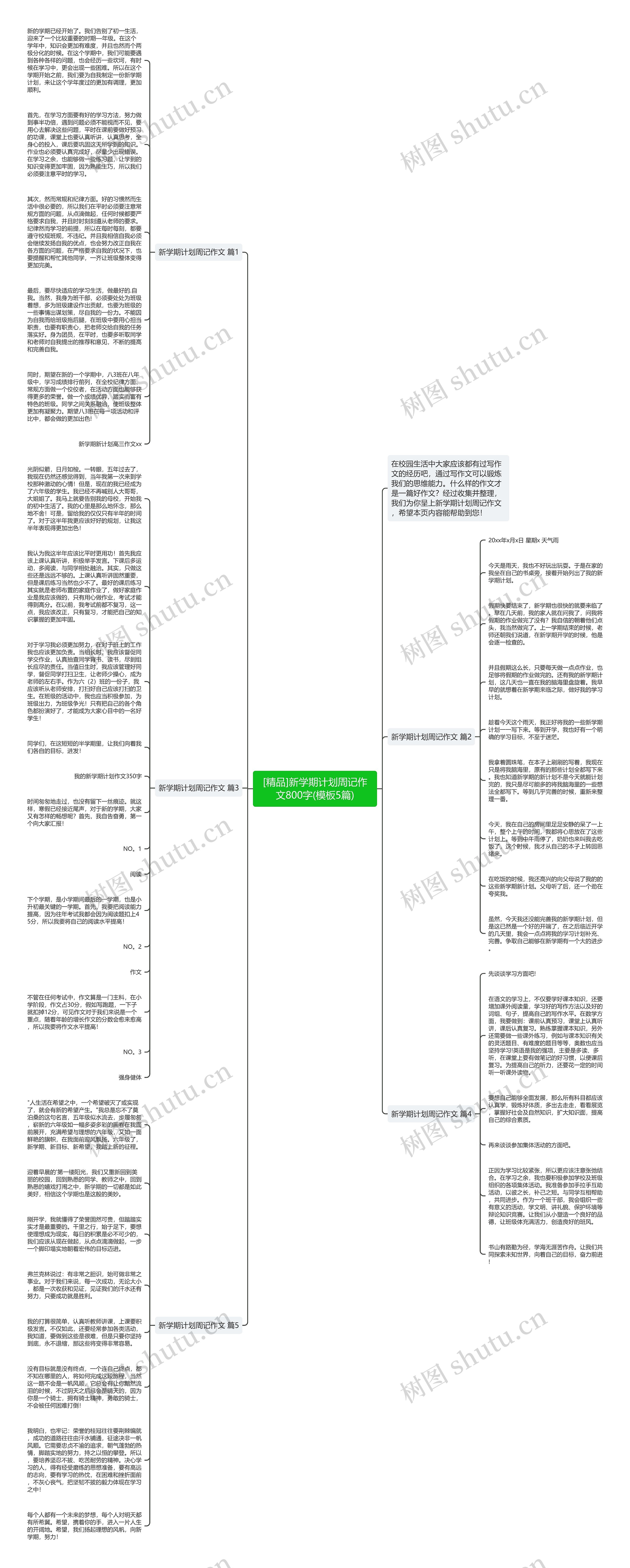 [精品]新学期计划周记作文800字(5篇)思维导图
