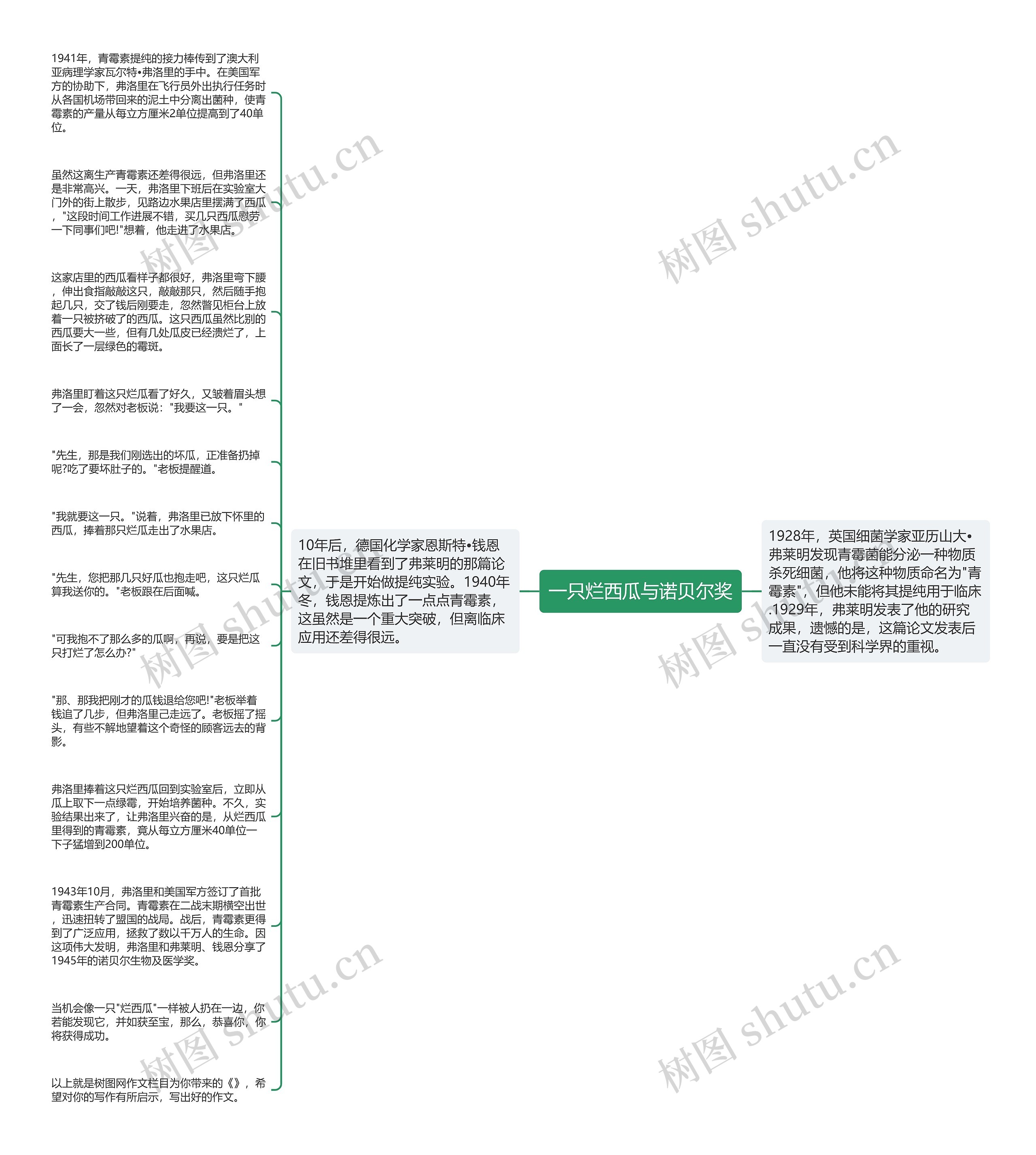 一只烂西瓜与诺贝尔奖思维导图