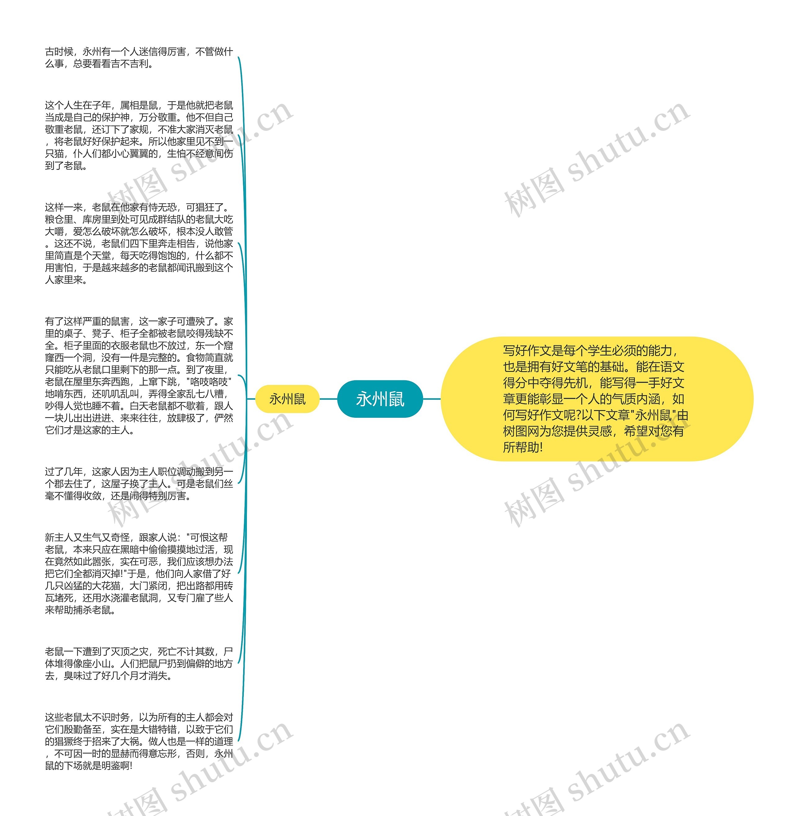 永州鼠思维导图