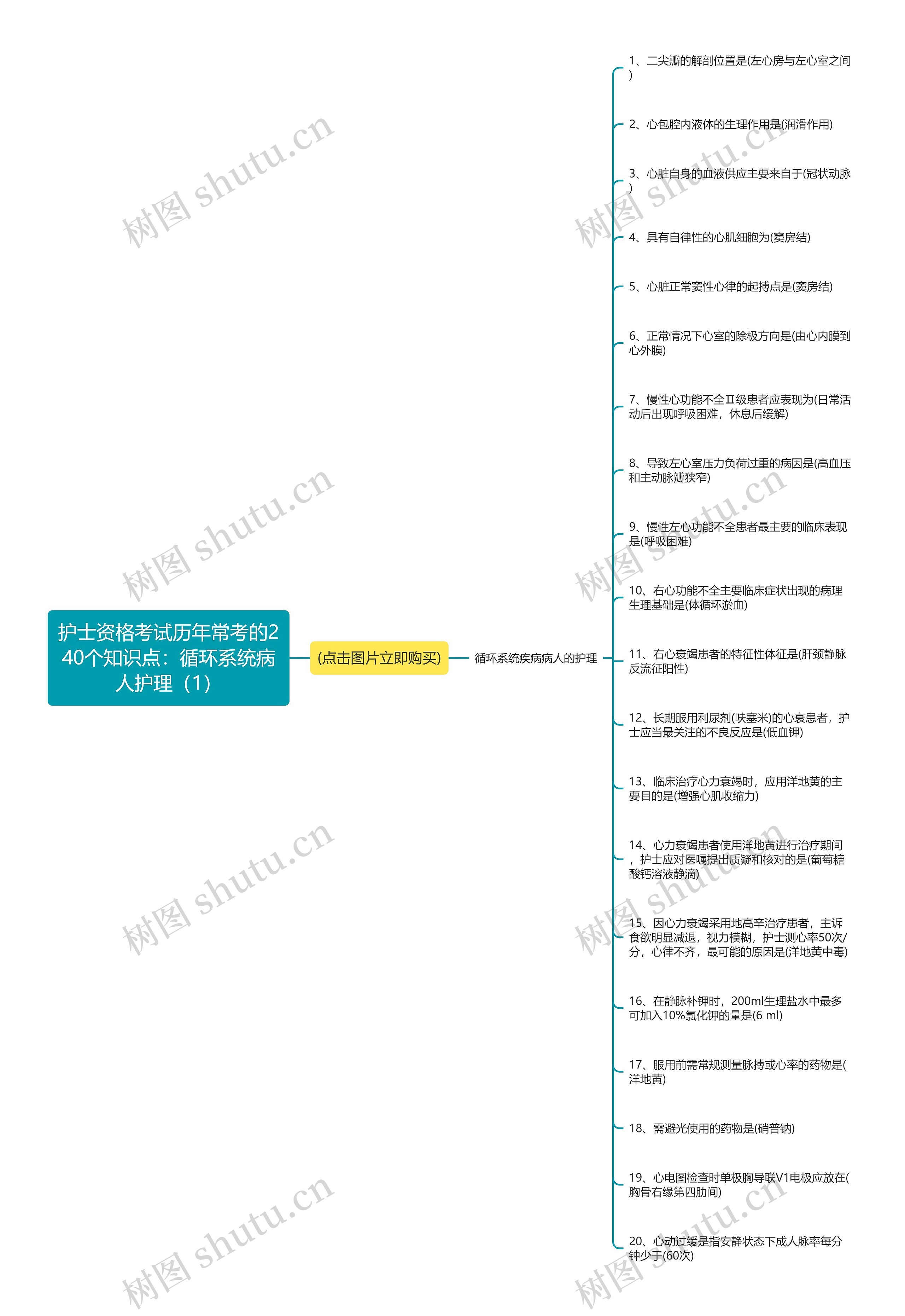 护士资格考试历年常考的240个知识点：循环系统病人护理（1）思维导图