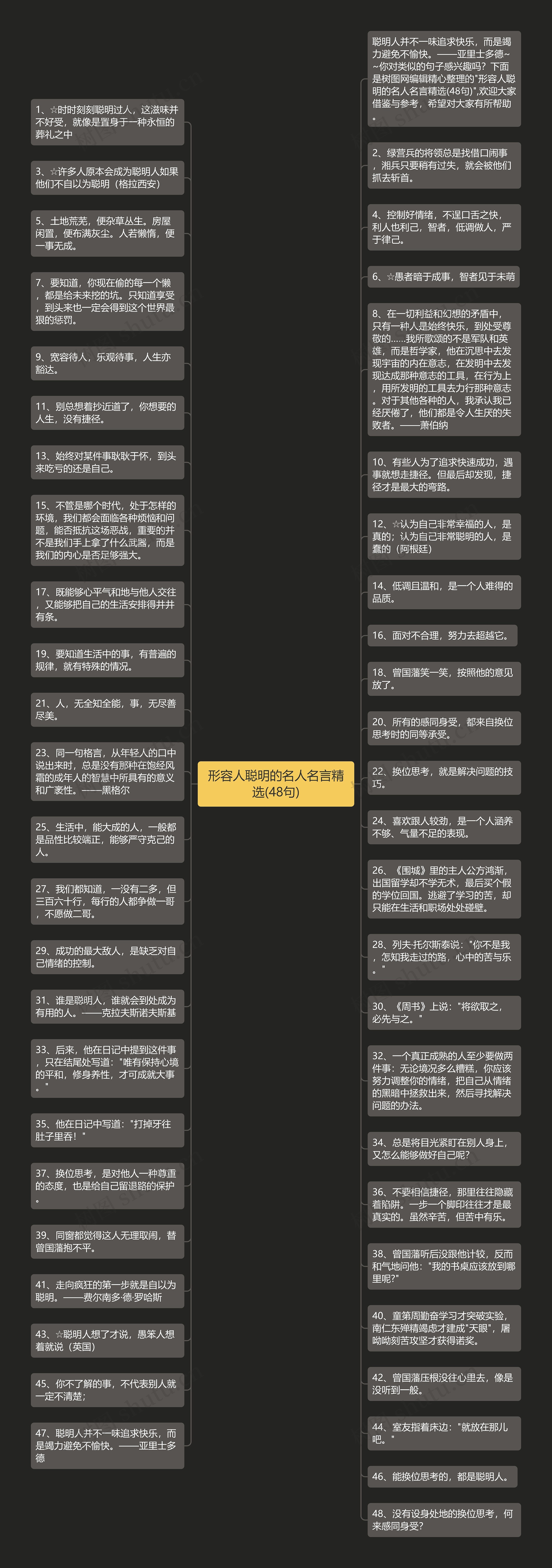 形容人聪明的名人名言精选(48句)思维导图