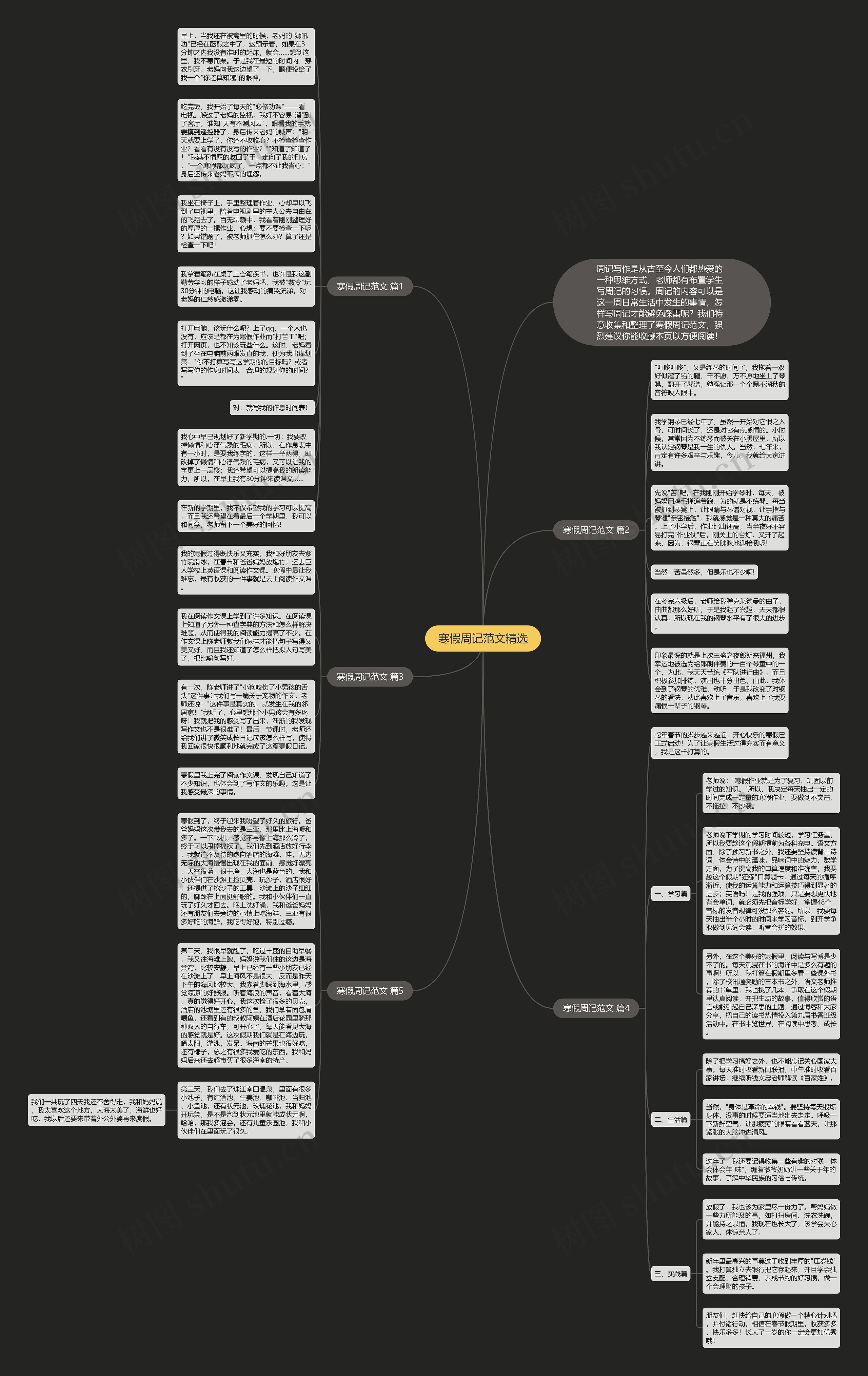 寒假周记范文精选思维导图