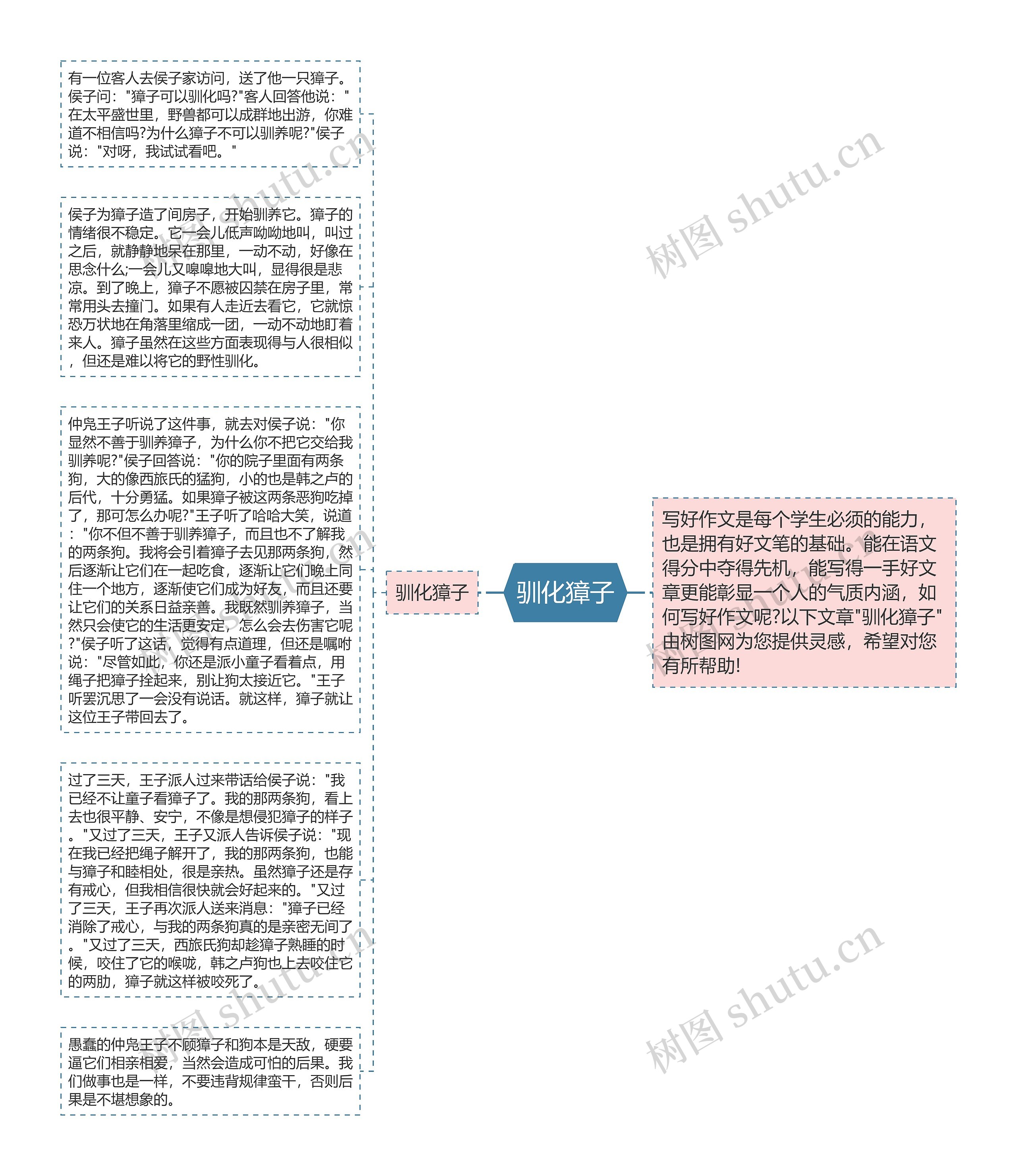 驯化獐子思维导图