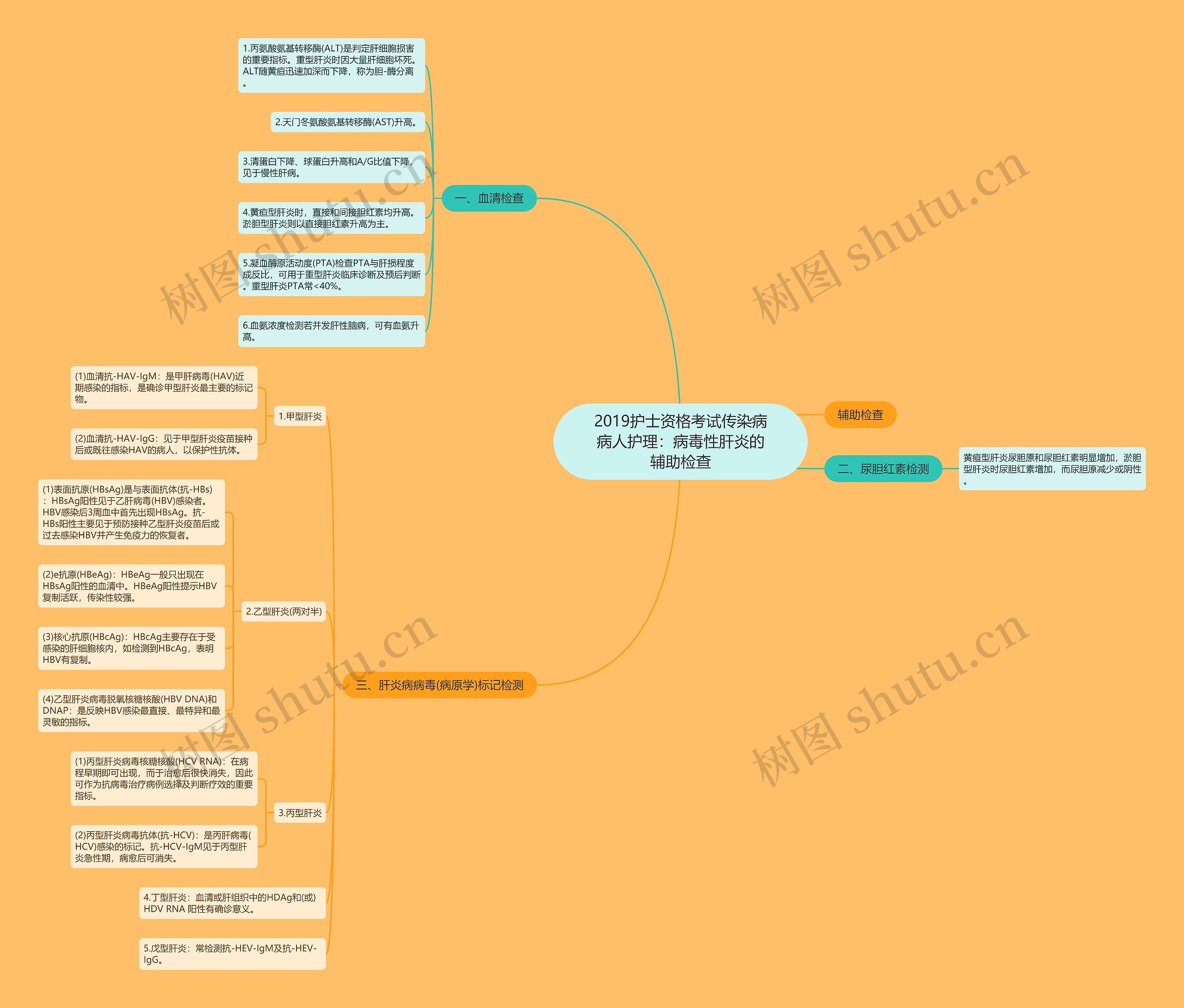 2019护士资格考试传染病病人护理：病毒性肝炎的辅助检查思维导图