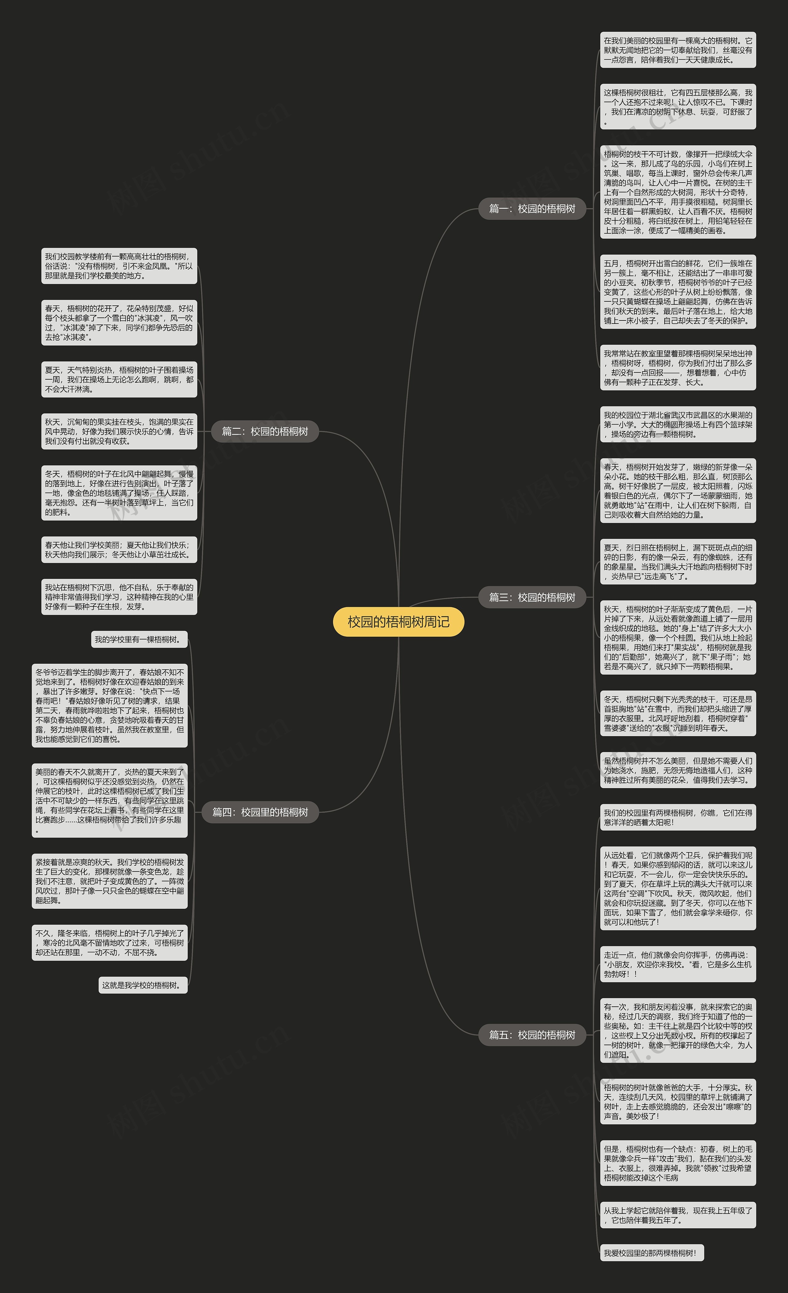 校园的梧桐树周记思维导图