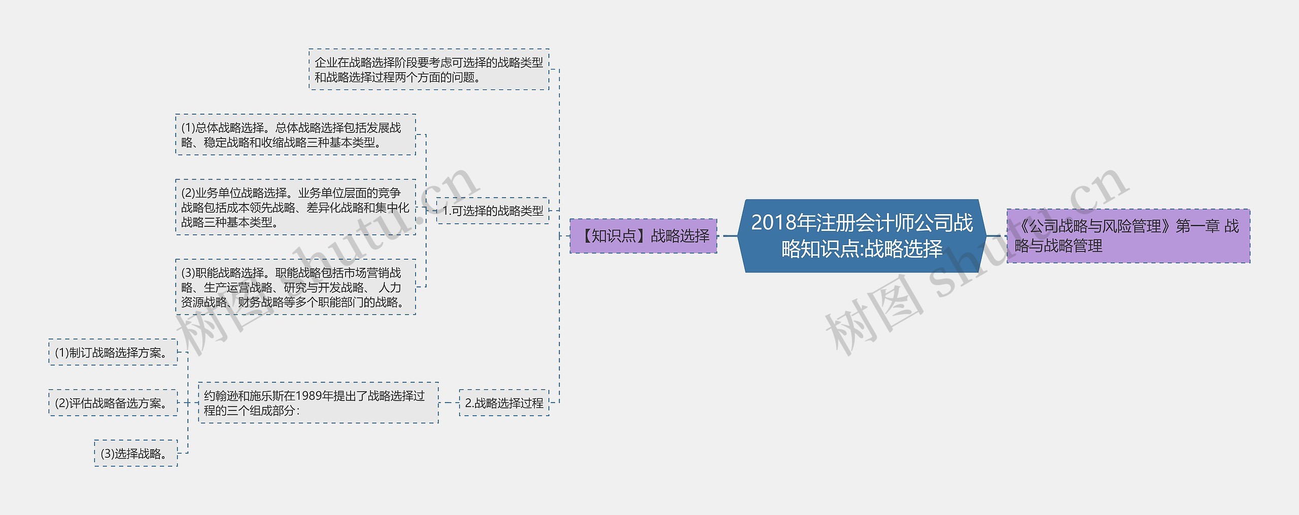 2018年注册会计师公司战略知识点:战略选择