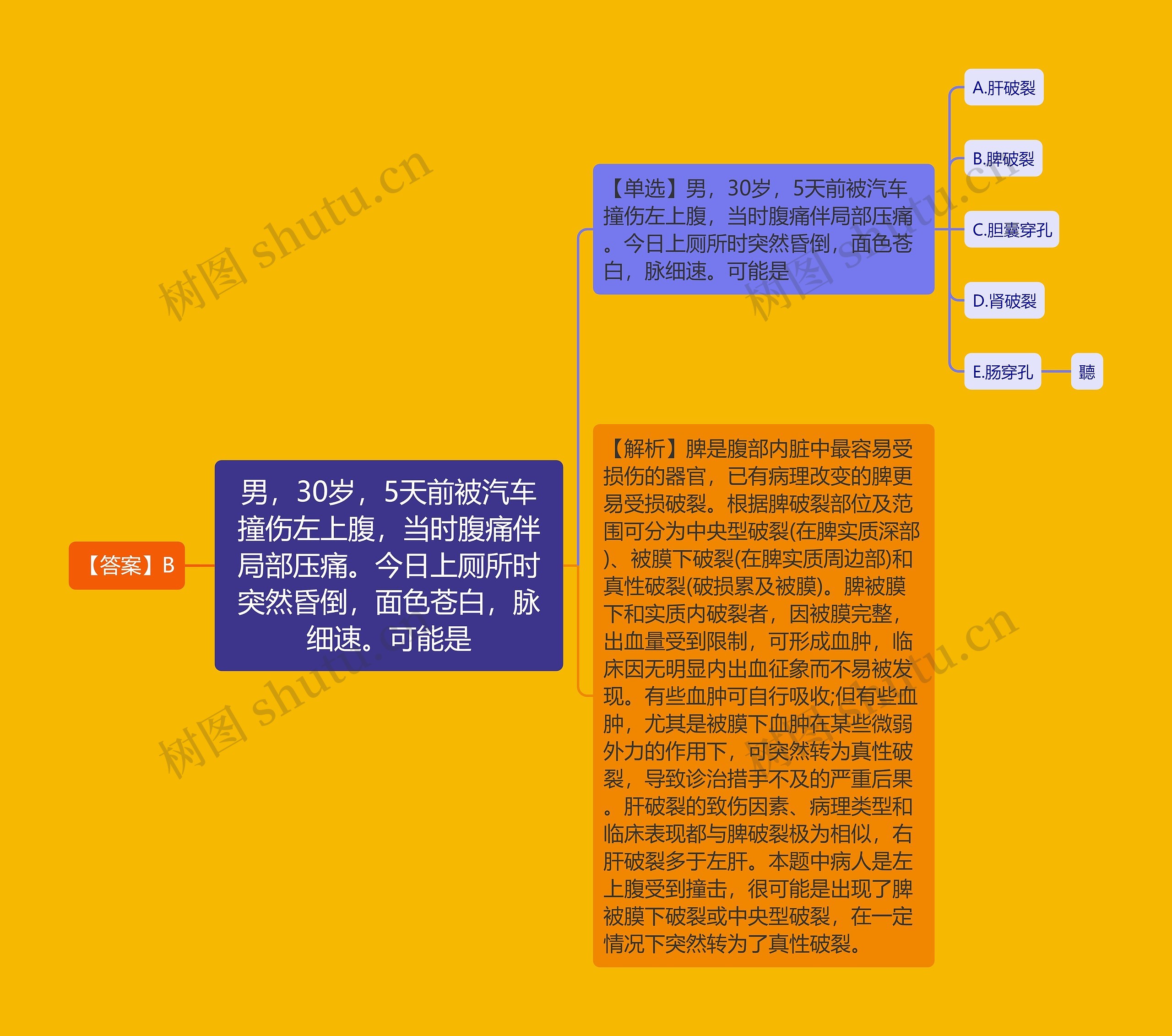 男，30岁，5天前被汽车撞伤左上腹，当时腹痛伴局部压痛。今日上厕所时突然昏倒，面色苍白，脉细速。可能是