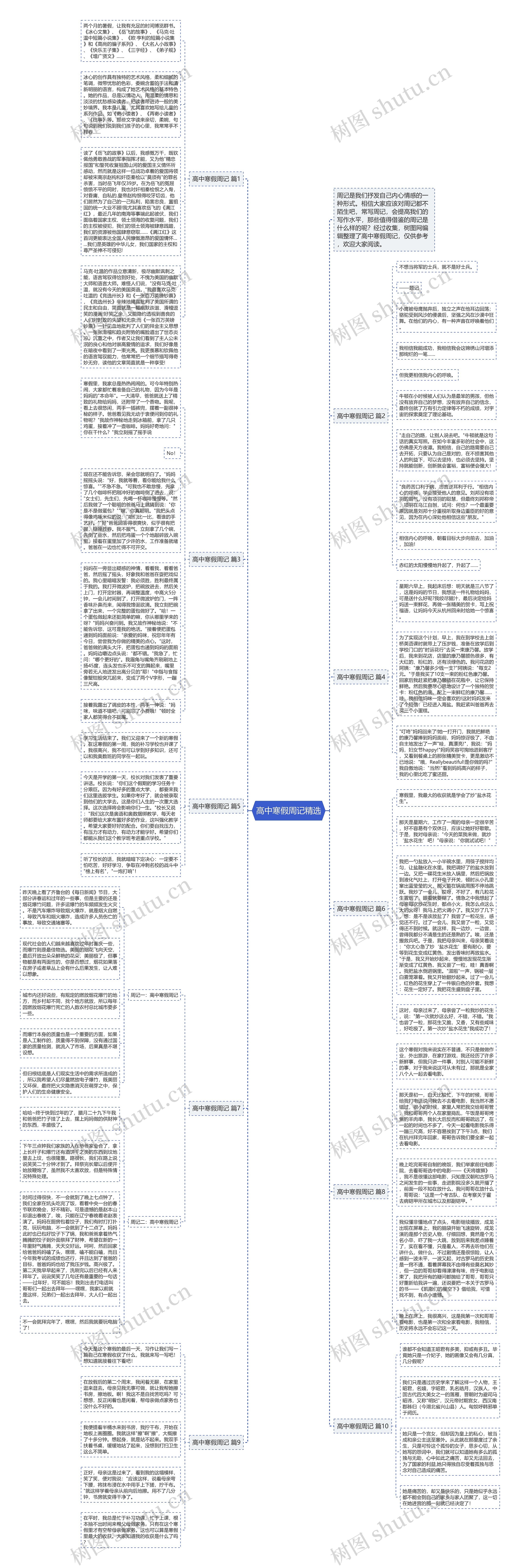 高中寒假周记精选思维导图