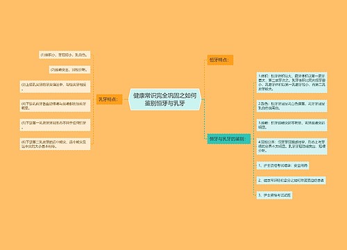 健康常识完全巩固之如何鉴别恒牙与乳牙思维导图