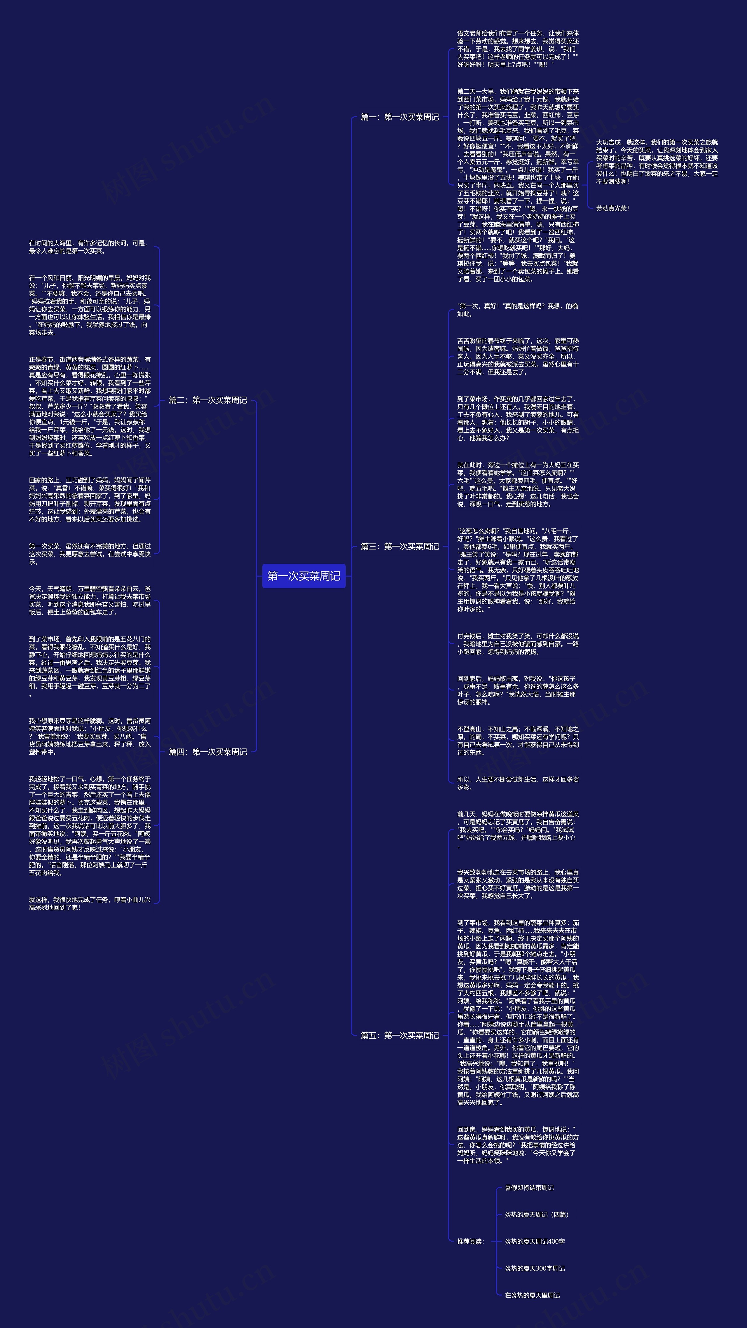 第一次买菜周记思维导图