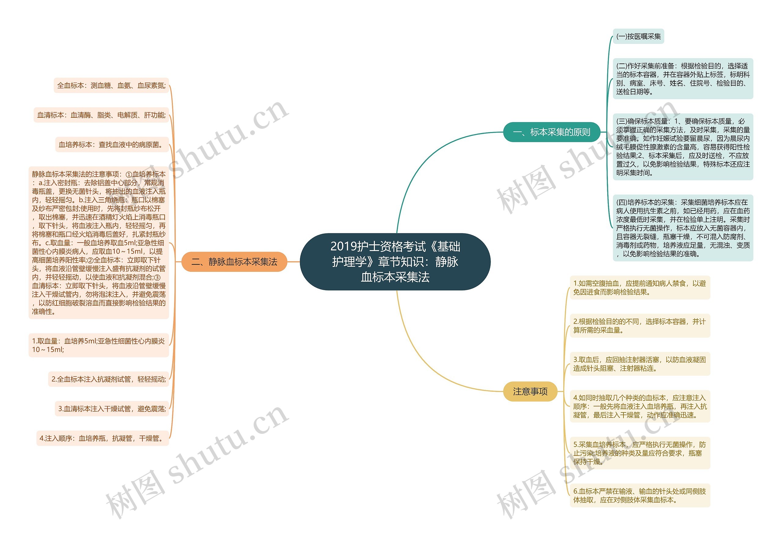 2019护士资格考试《基础护理学》章节知识：静脉血标本采集法思维导图