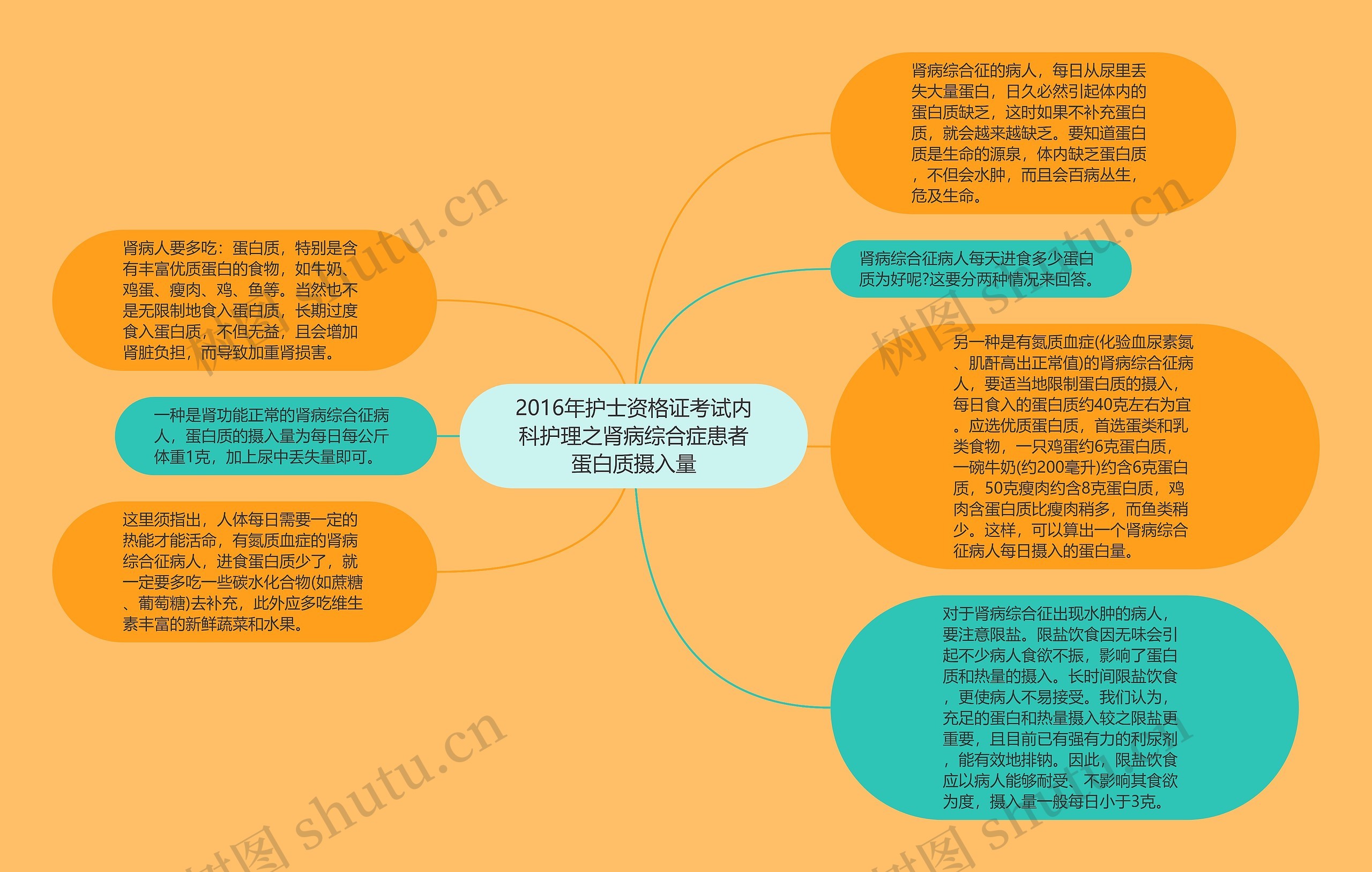 2016年护士资格证考试内科护理之肾病综合症患者蛋白质摄入量