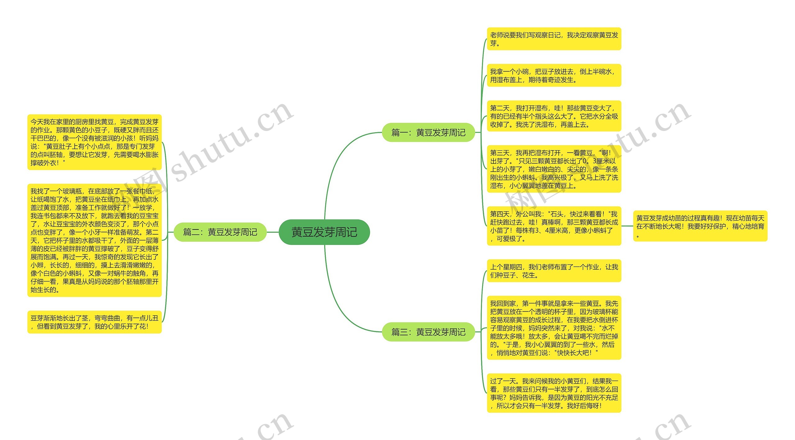 黄豆发芽周记思维导图