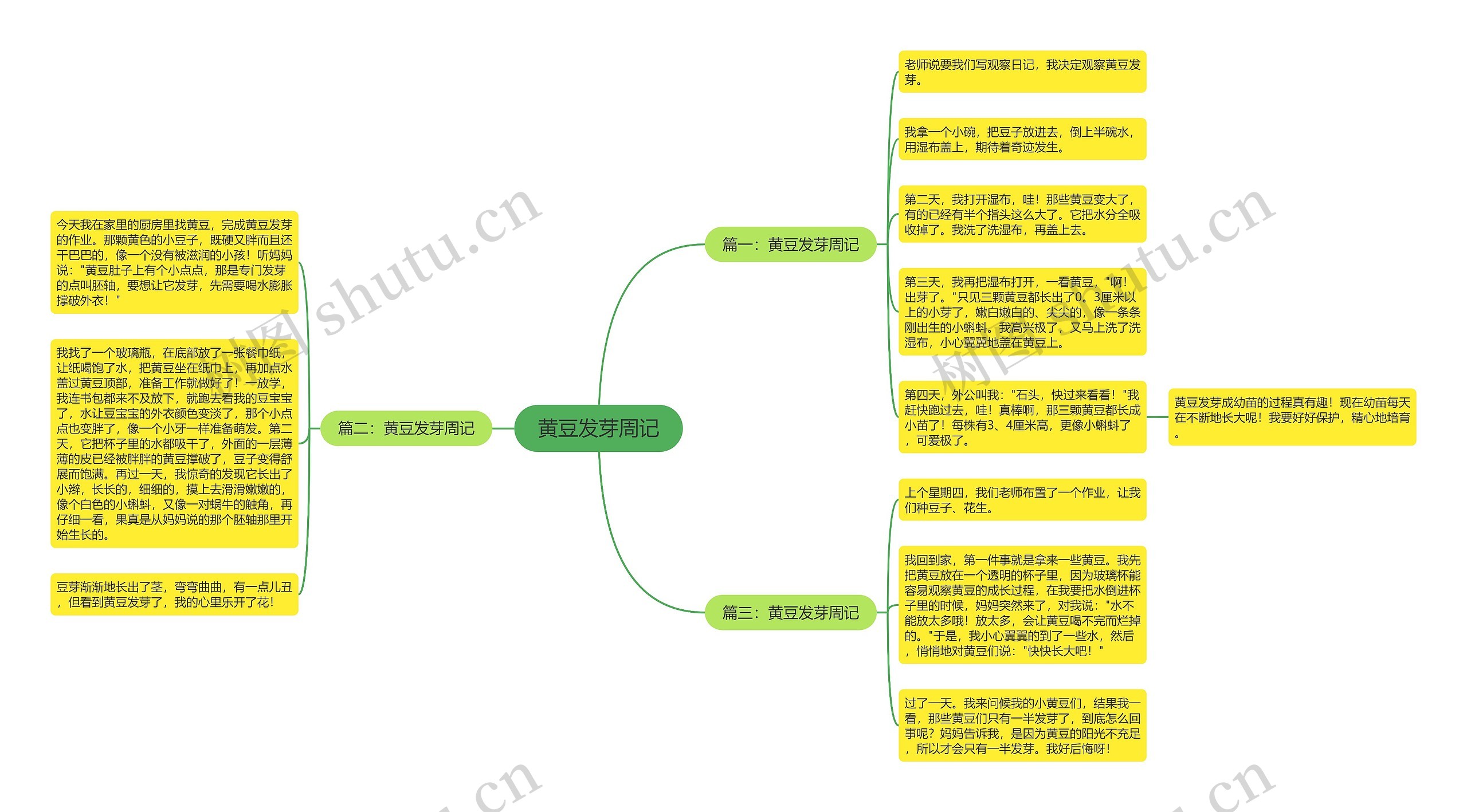 黄豆发芽周记思维导图高清图 黄豆发芽周记思维导图