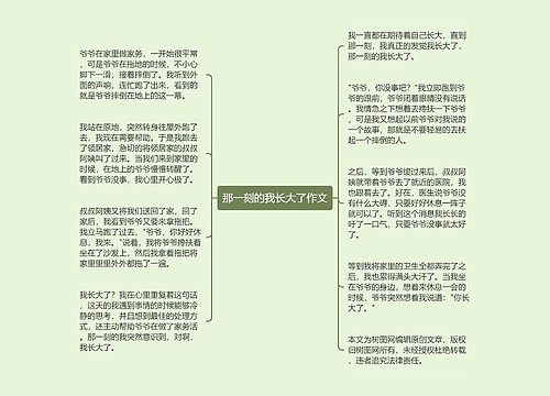 那一刻的我长大了作文