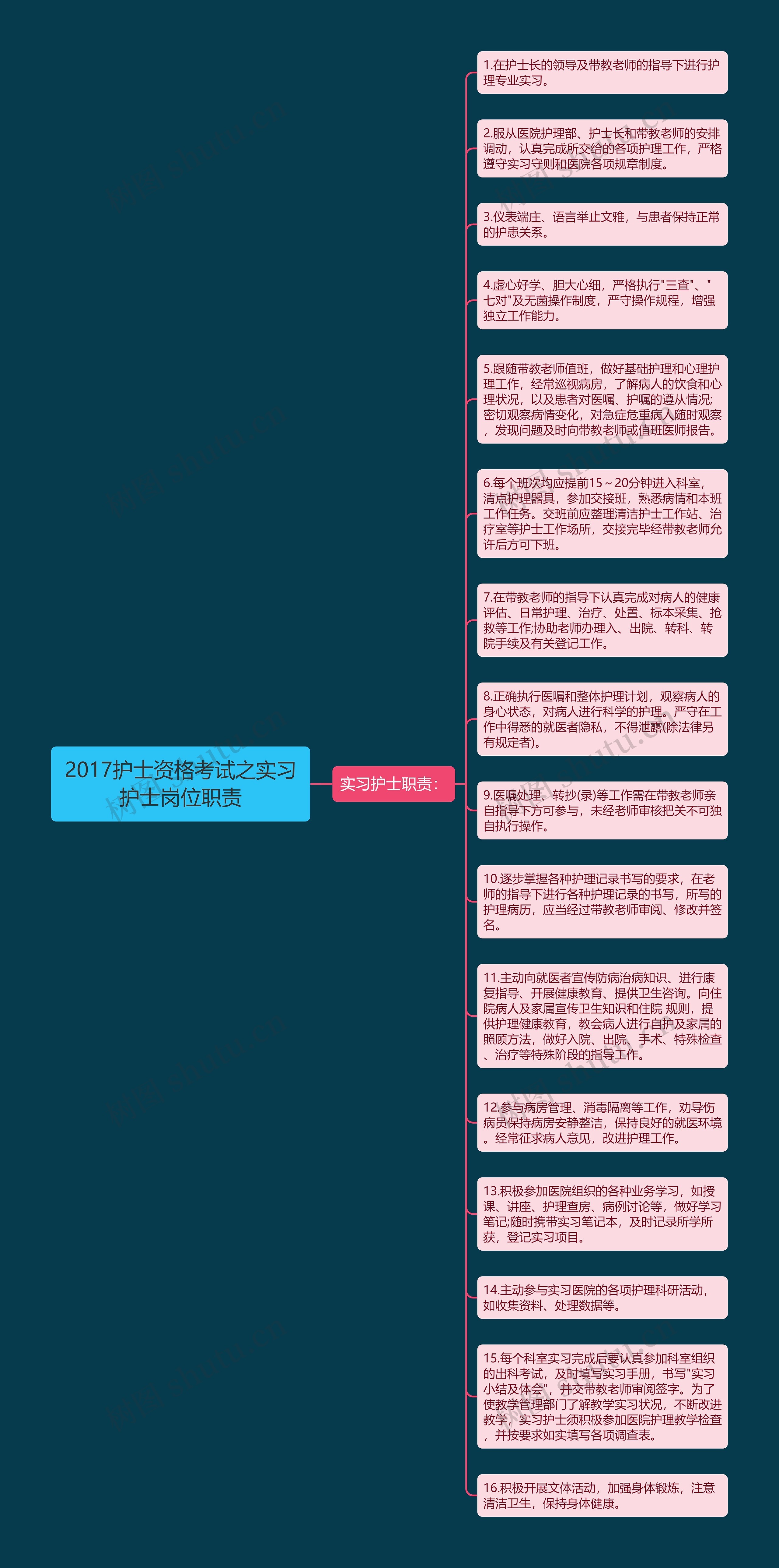 2017护士资格考试之实习护士岗位职责思维导图