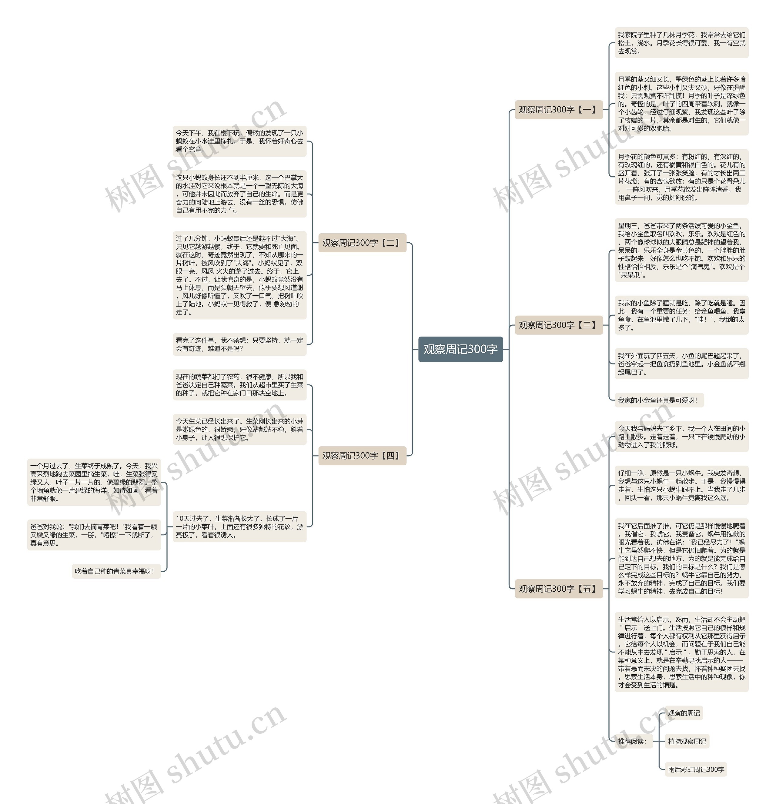 观察周记300字思维导图