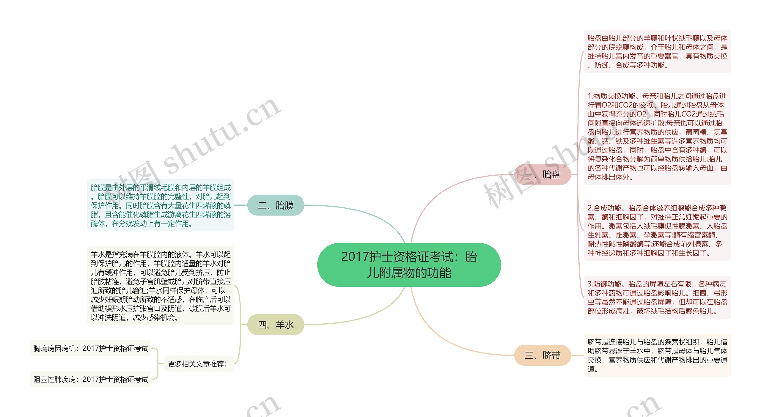 2017护士资格证考试：胎儿附属物的功能思维导图