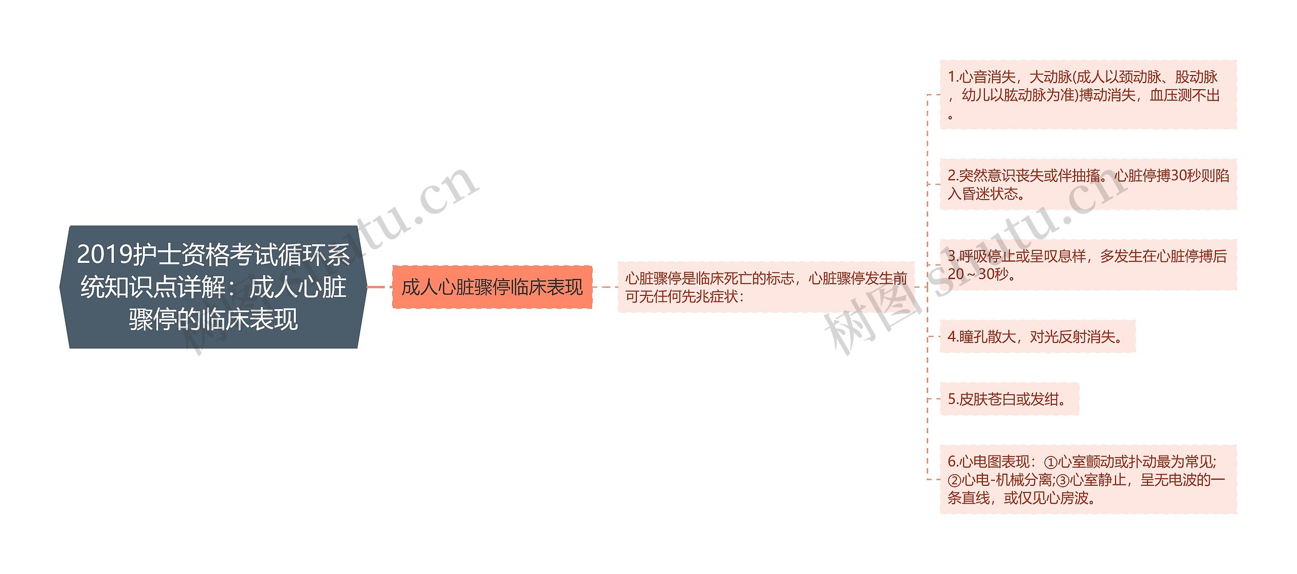 2019护士资格考试循环系统知识点详解：成人心脏骤停的临床表现思维导图