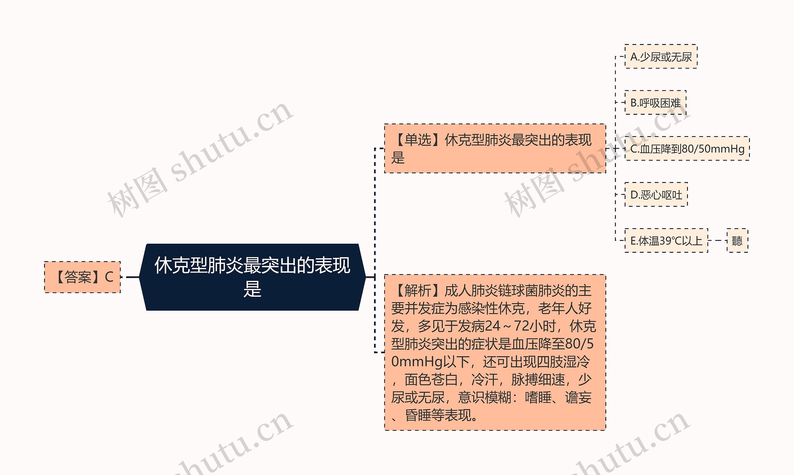 休克型肺炎最突出的表现是思维导图