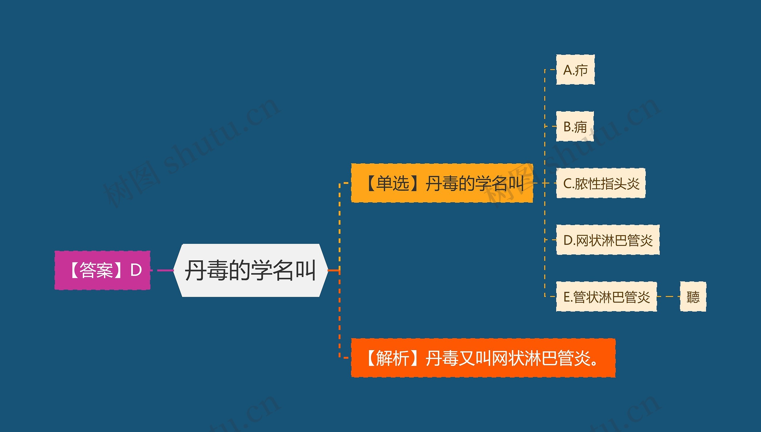 丹毒的学名叫思维导图